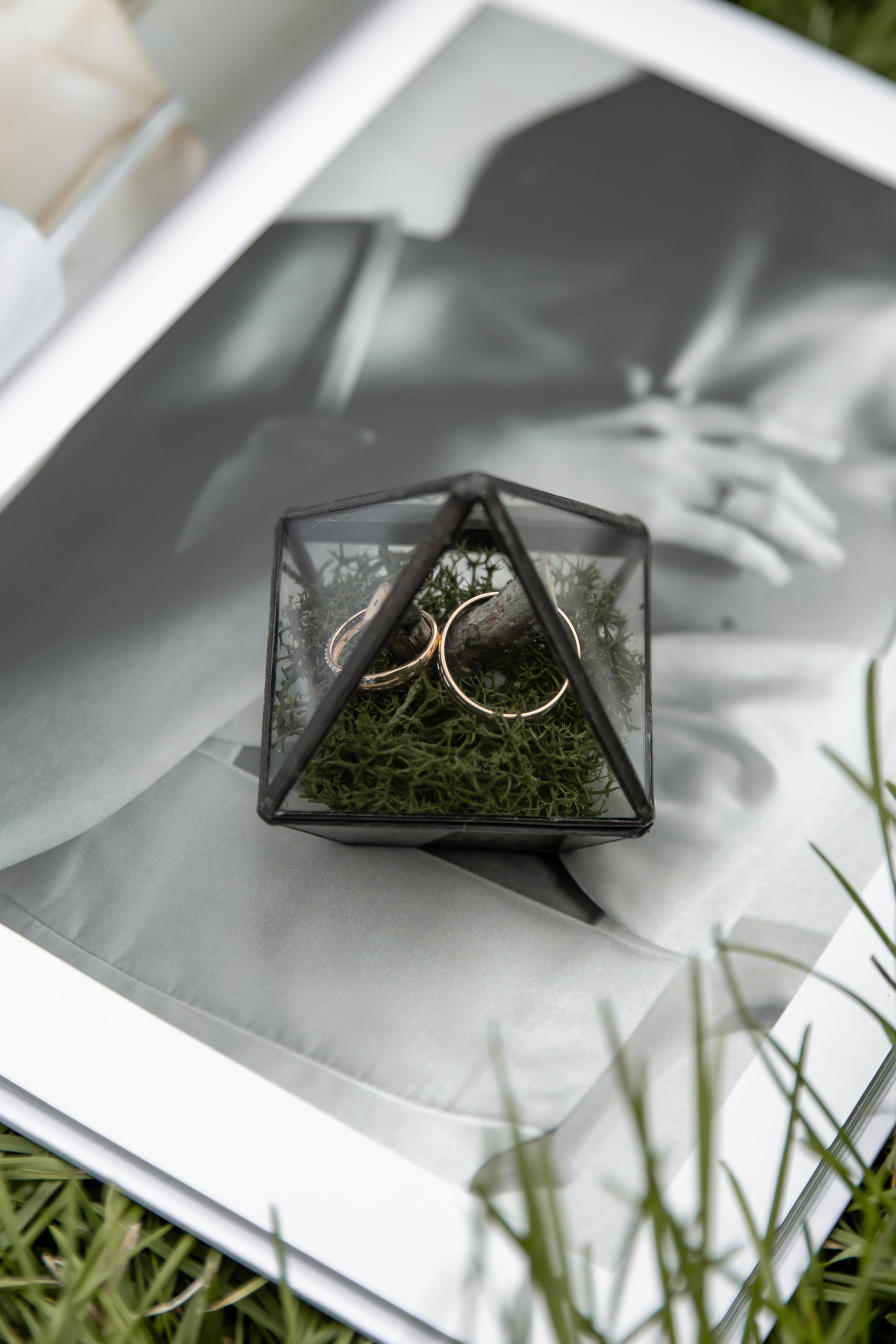 Выездная регистрация + Барвиха + банкет. Свадебный и семейный фотограф в Москве Диана Левченко