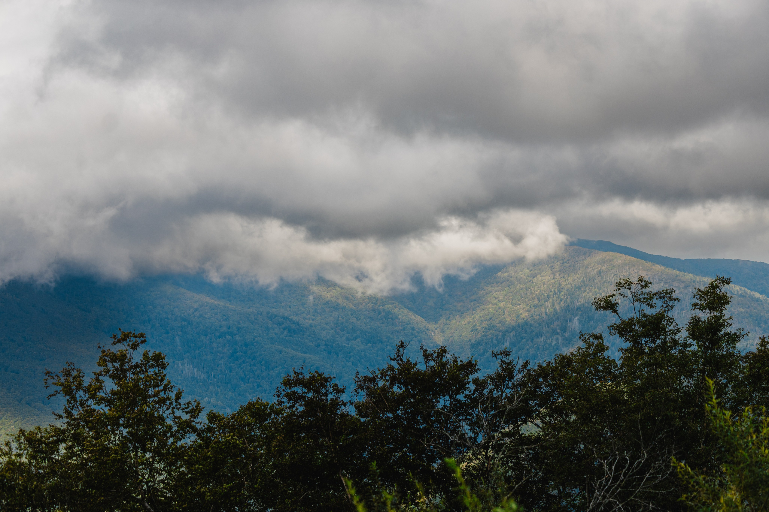 Фотографии фестиваля «Стройгерой 2025» Газстройпром — Сахалин