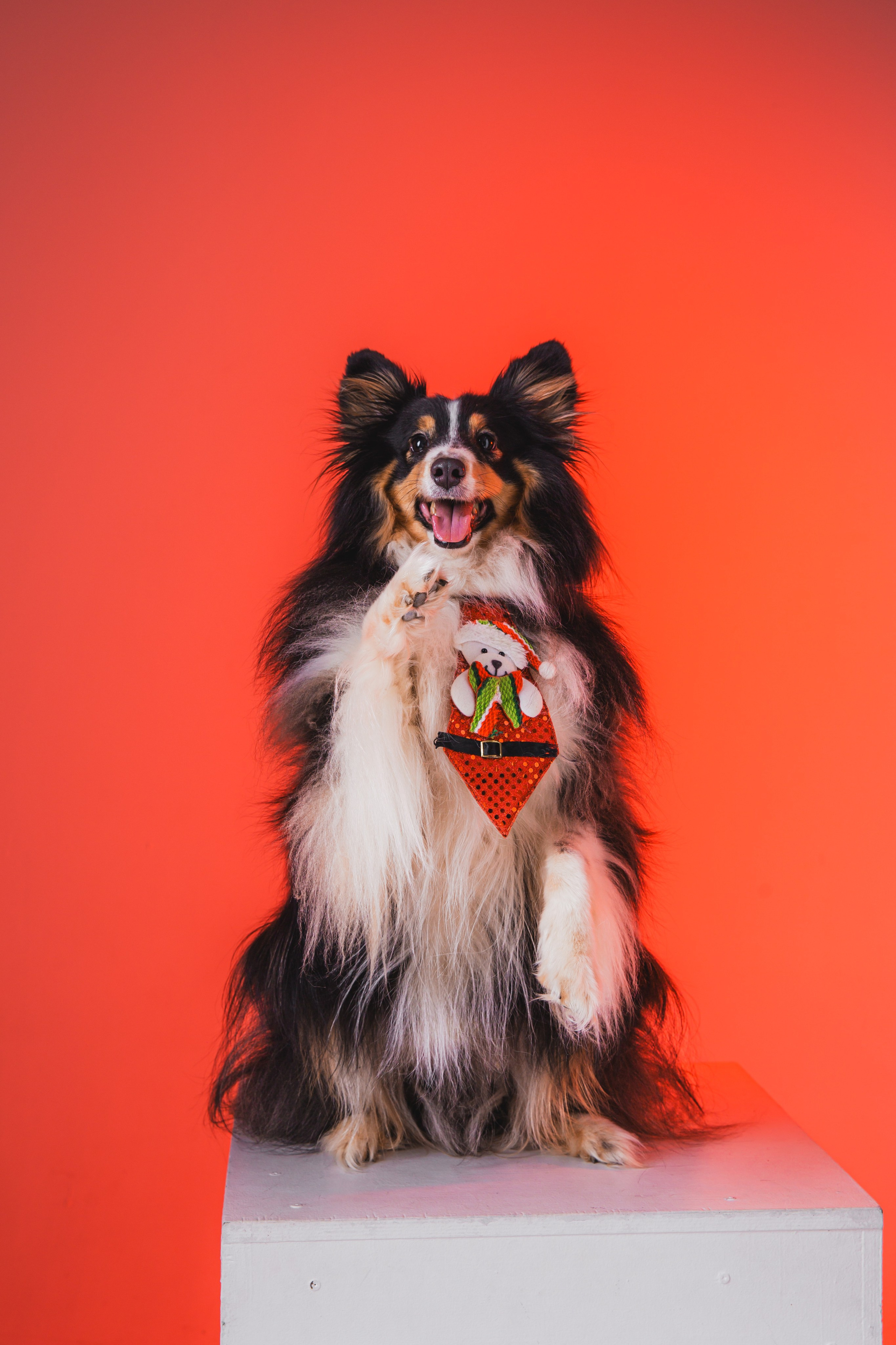 Воркшоп по импульсному свету