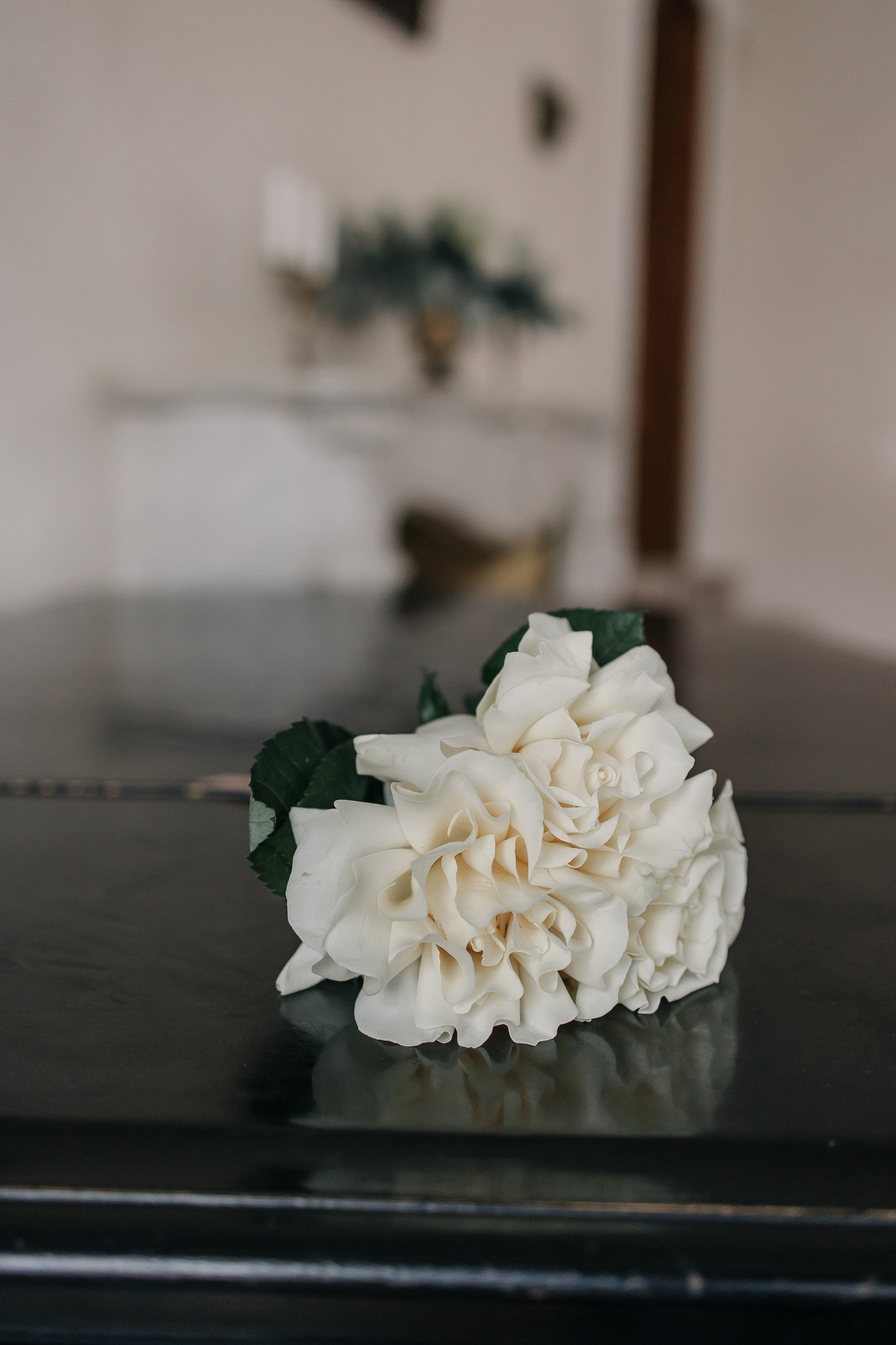 Николай и Сильвия