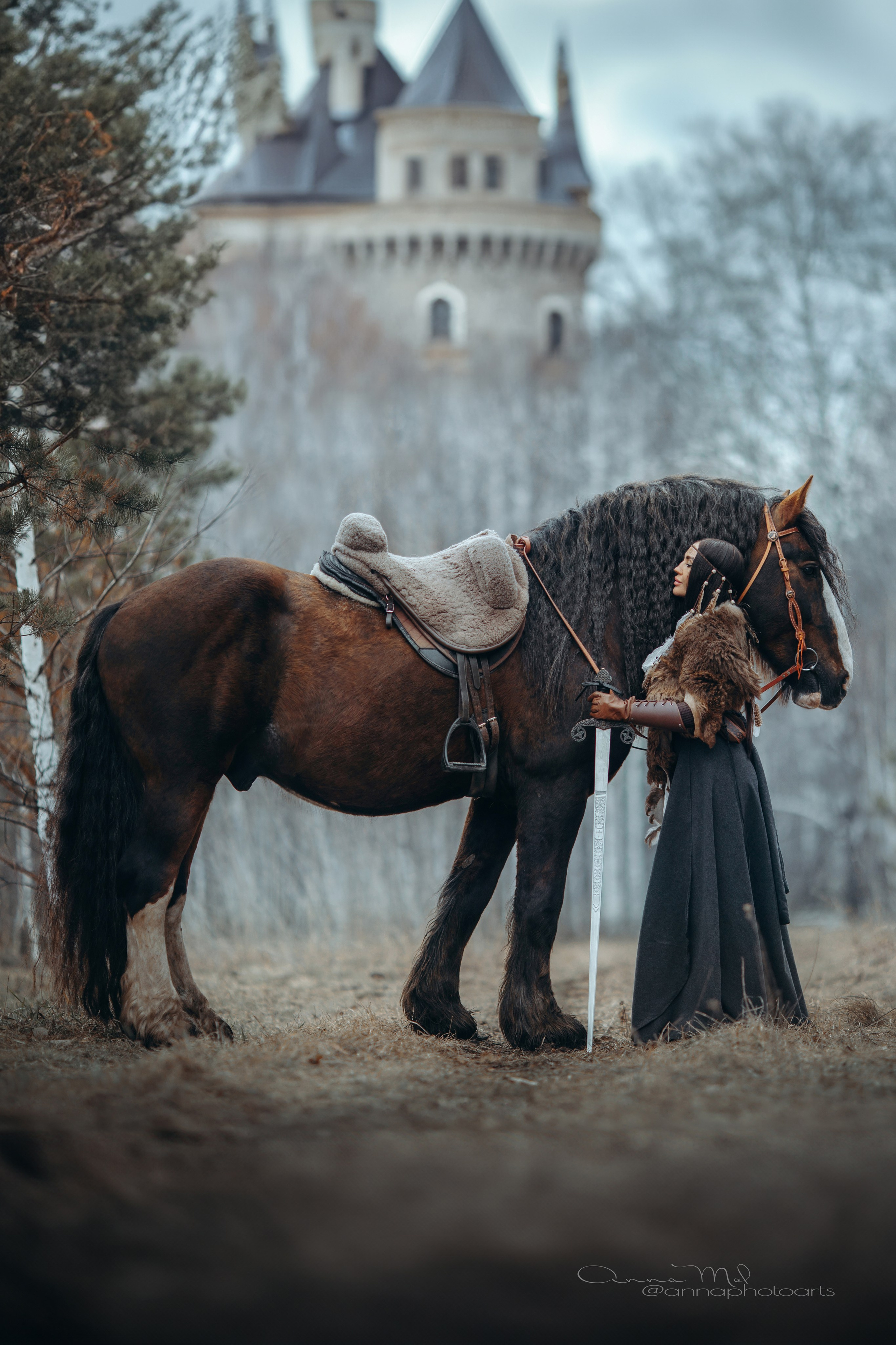 Vikings. Анна Молчанова конный фотограф в Тюмени | фотосессии с лошадьми Тюмень
