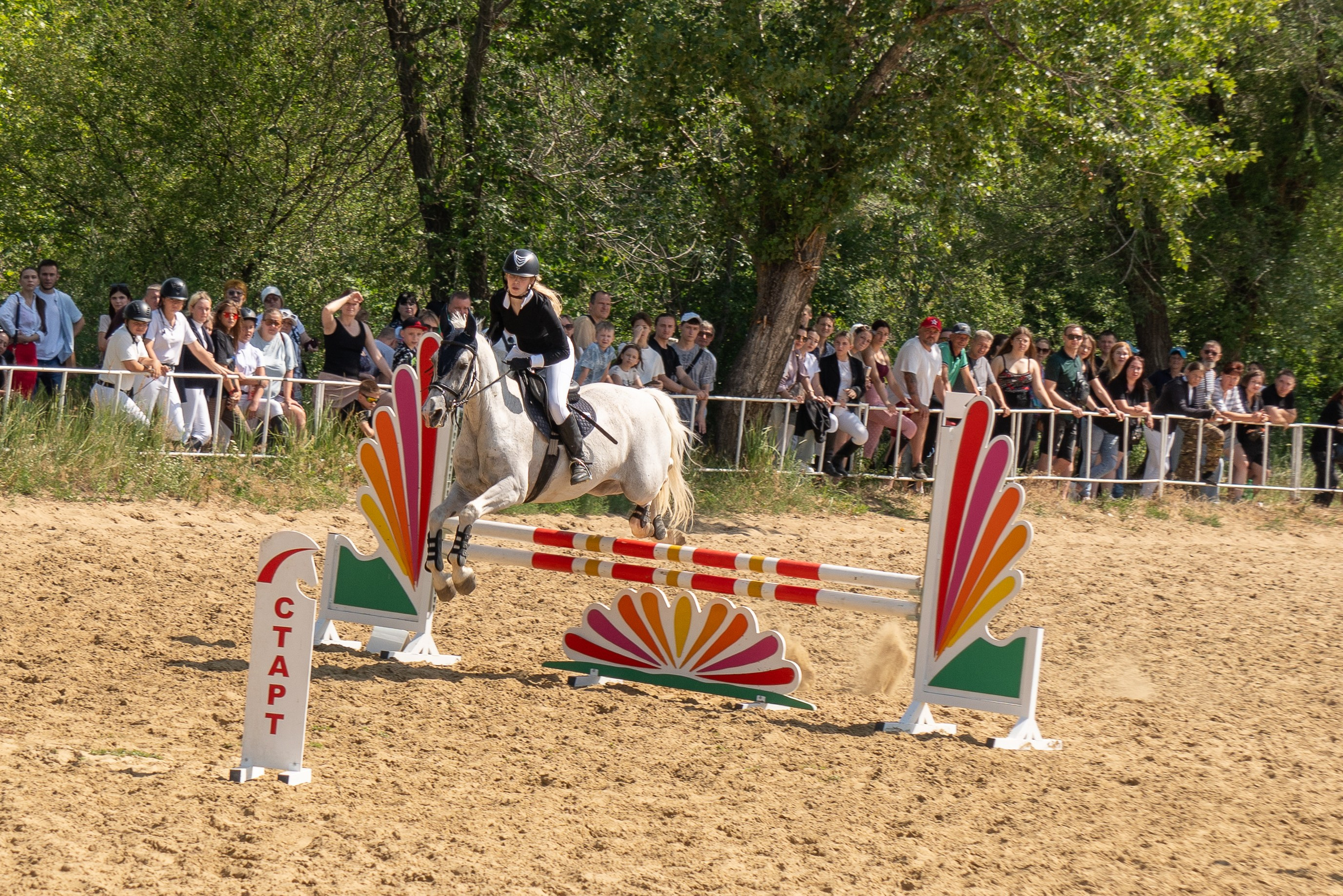 Соревнования по конкуру, Луганск. Фотограф в РФ и ЛНР Юлия Федосеева