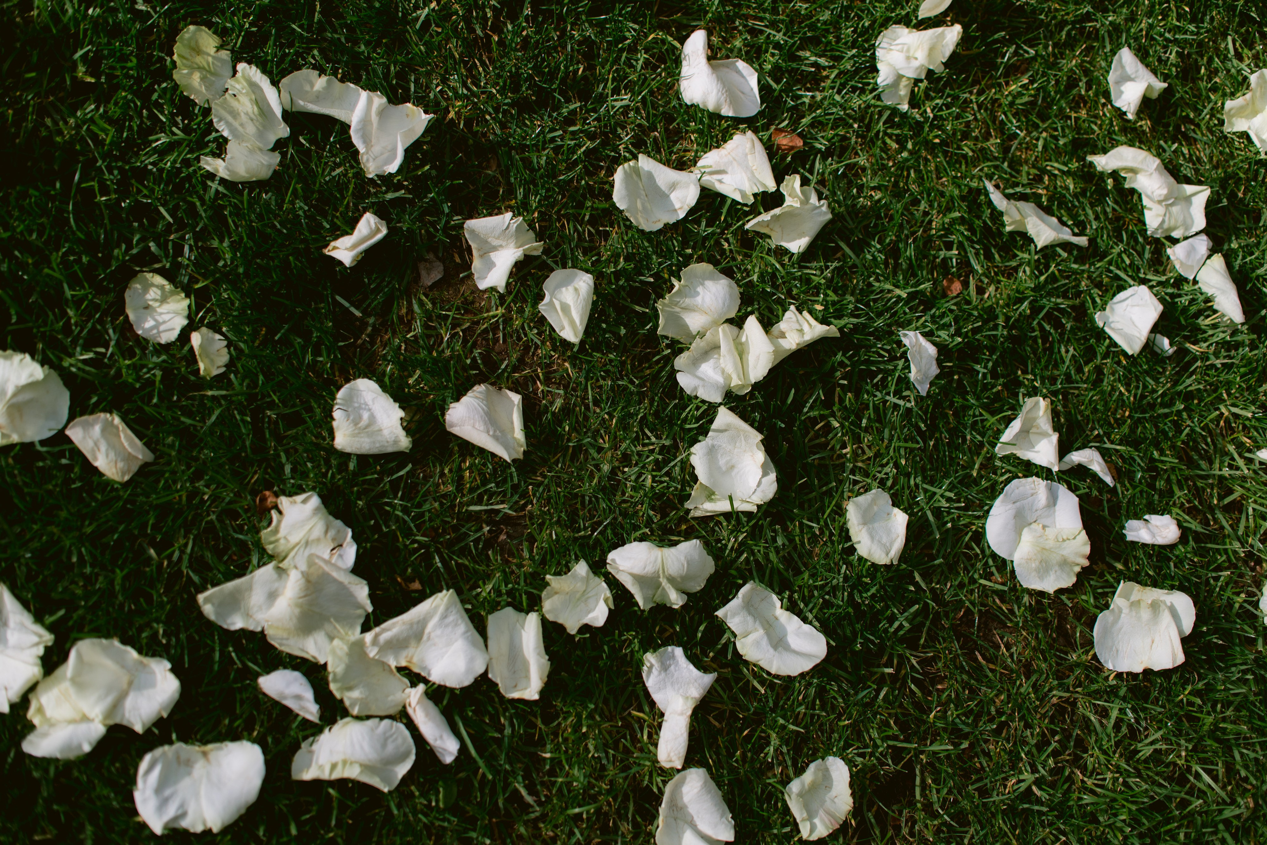 Осень, свадьба, любовь. Свадебный фотограф Ижевск/Сарапул Анастасия Бель