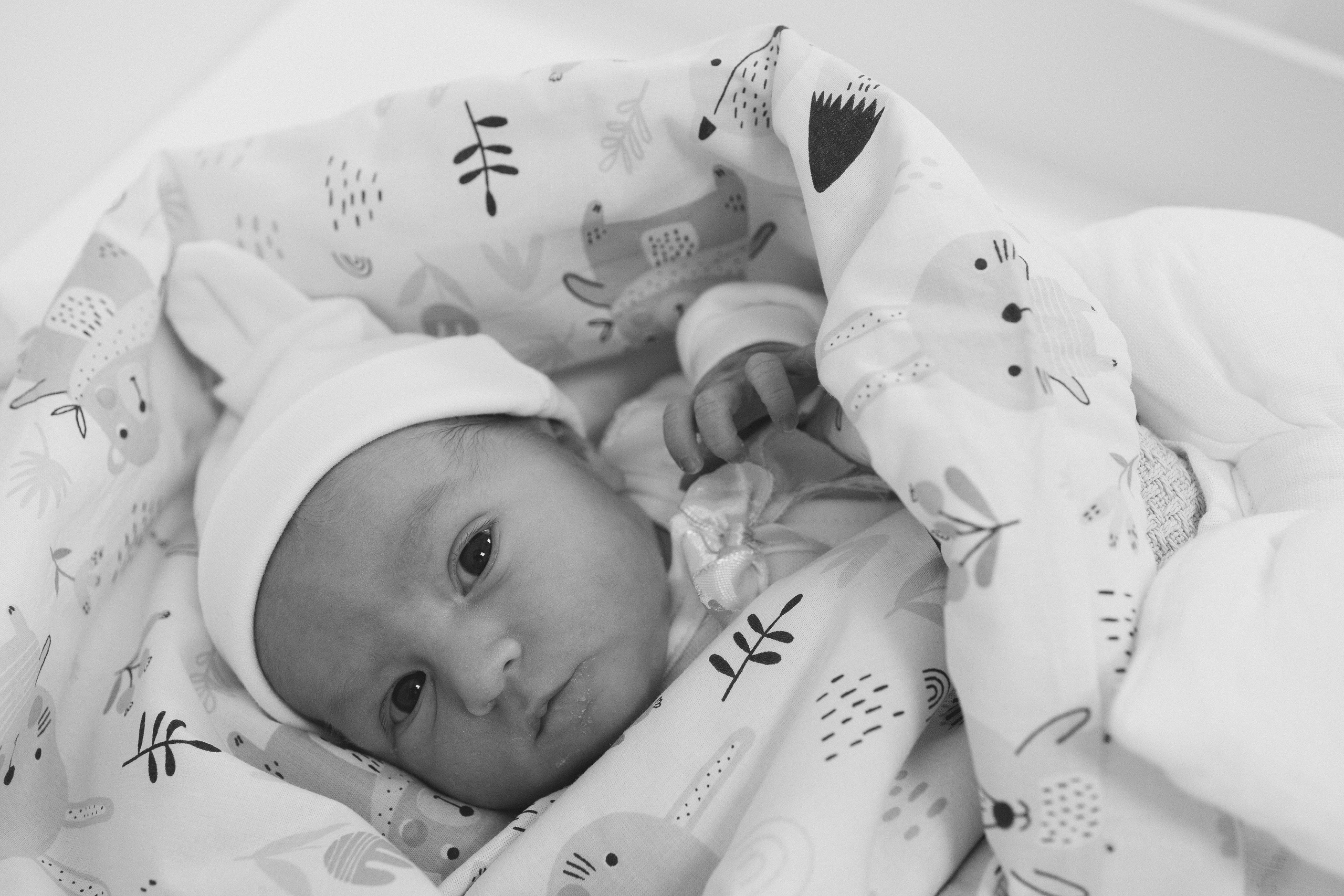 Выписка из роддома. Фотограф Юлия Исаева