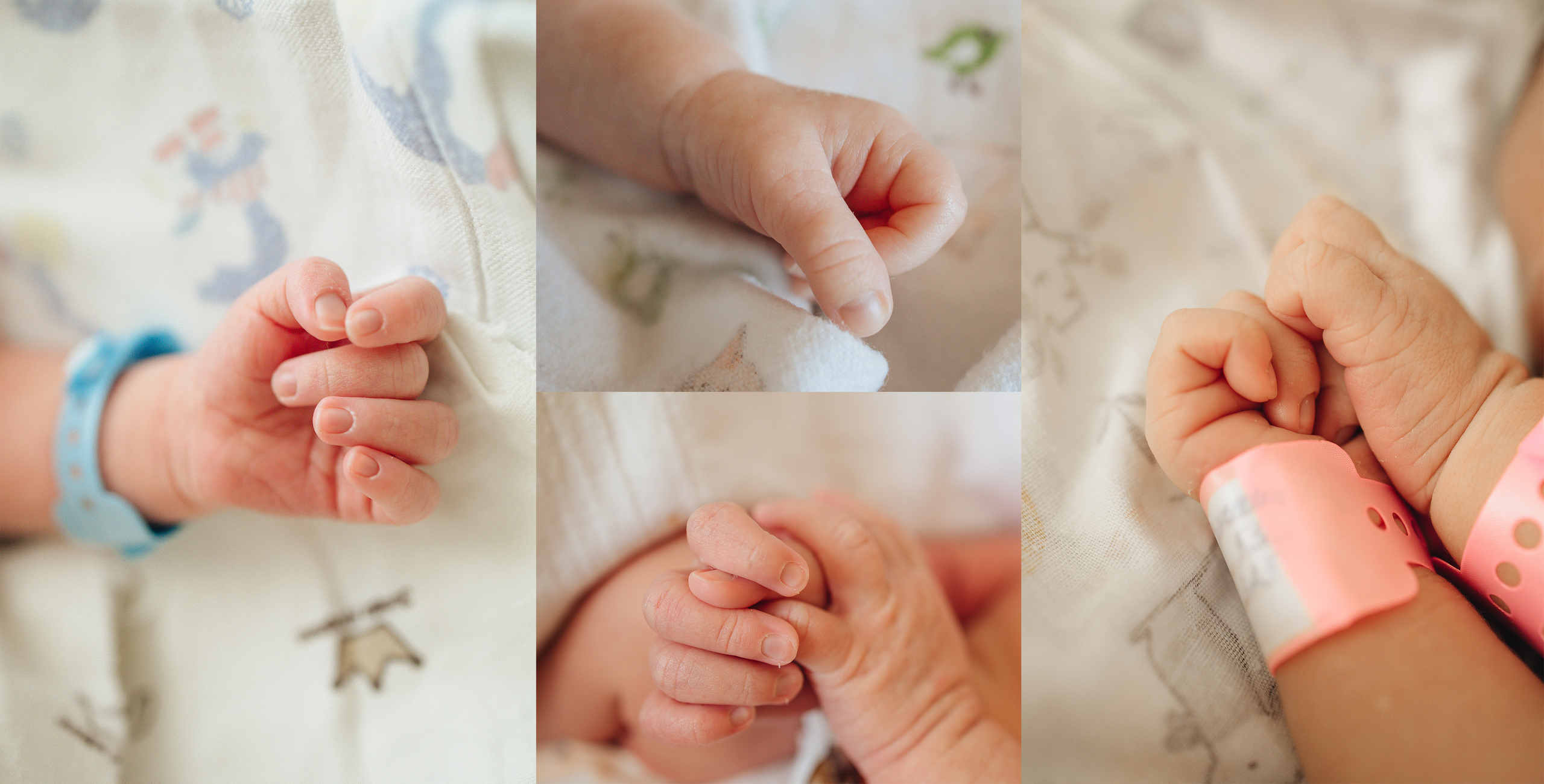 Первые дни жизни. Фотограф Юлия Исаева