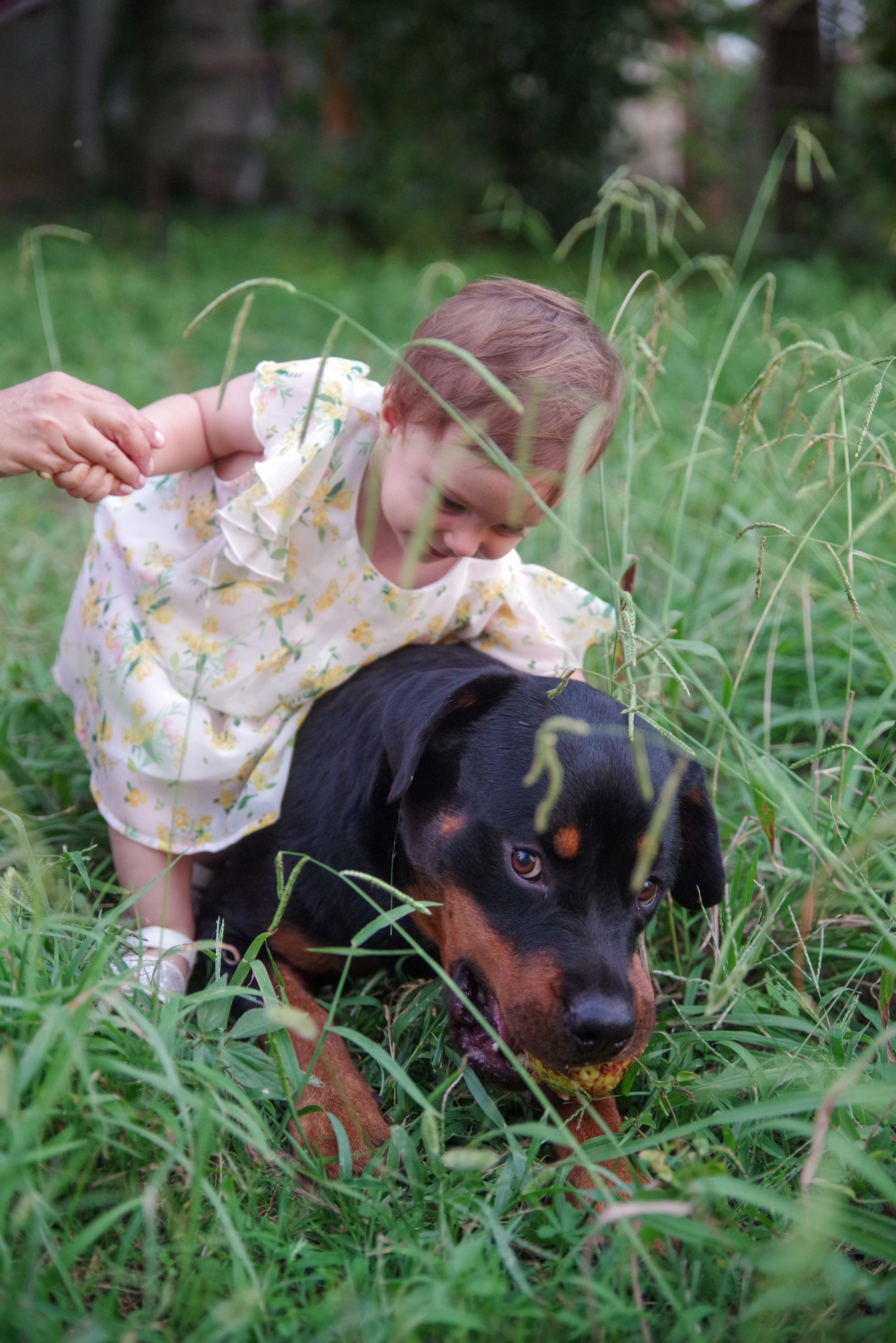 День рождения. Портретный фотограф Денис Милютин