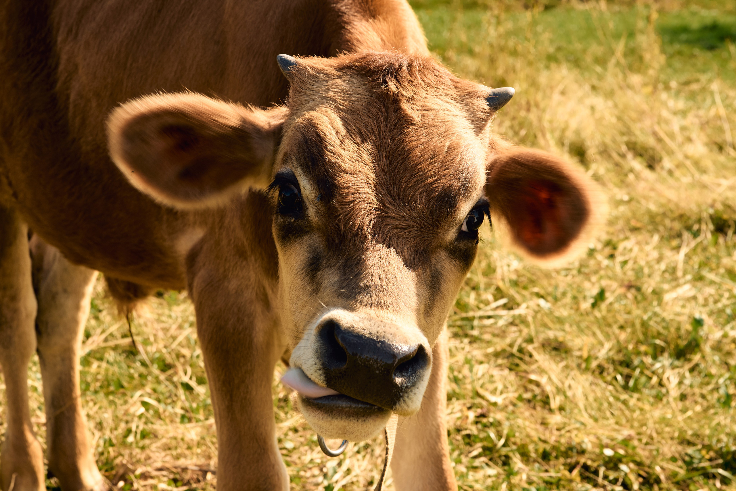 Индивидуальная фотосессия. Портретный фотограф в Санкт-Петербурге Ксения Петряшова