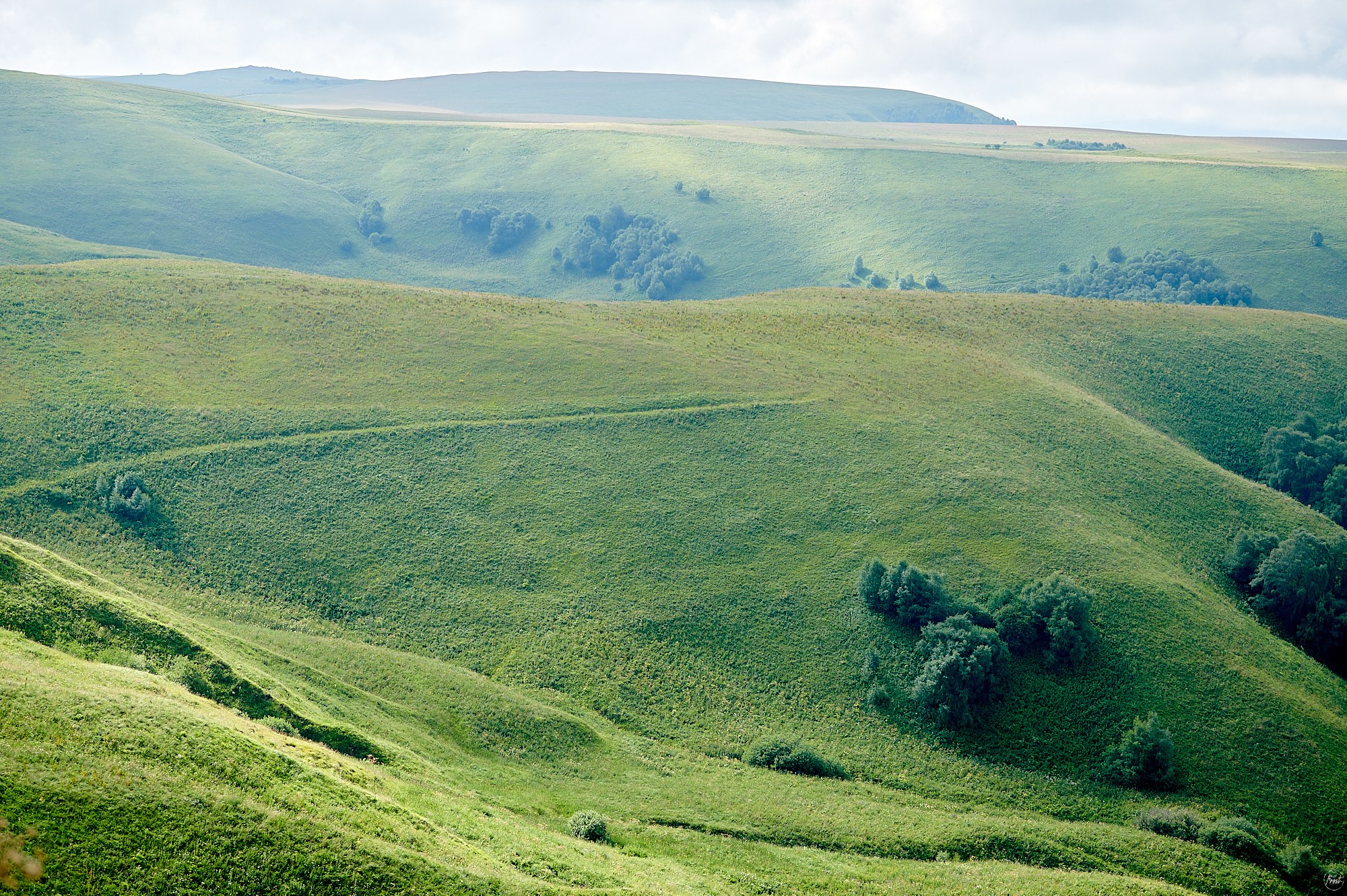 Домбай август 2024. Фотографии отовсюду и обо всем