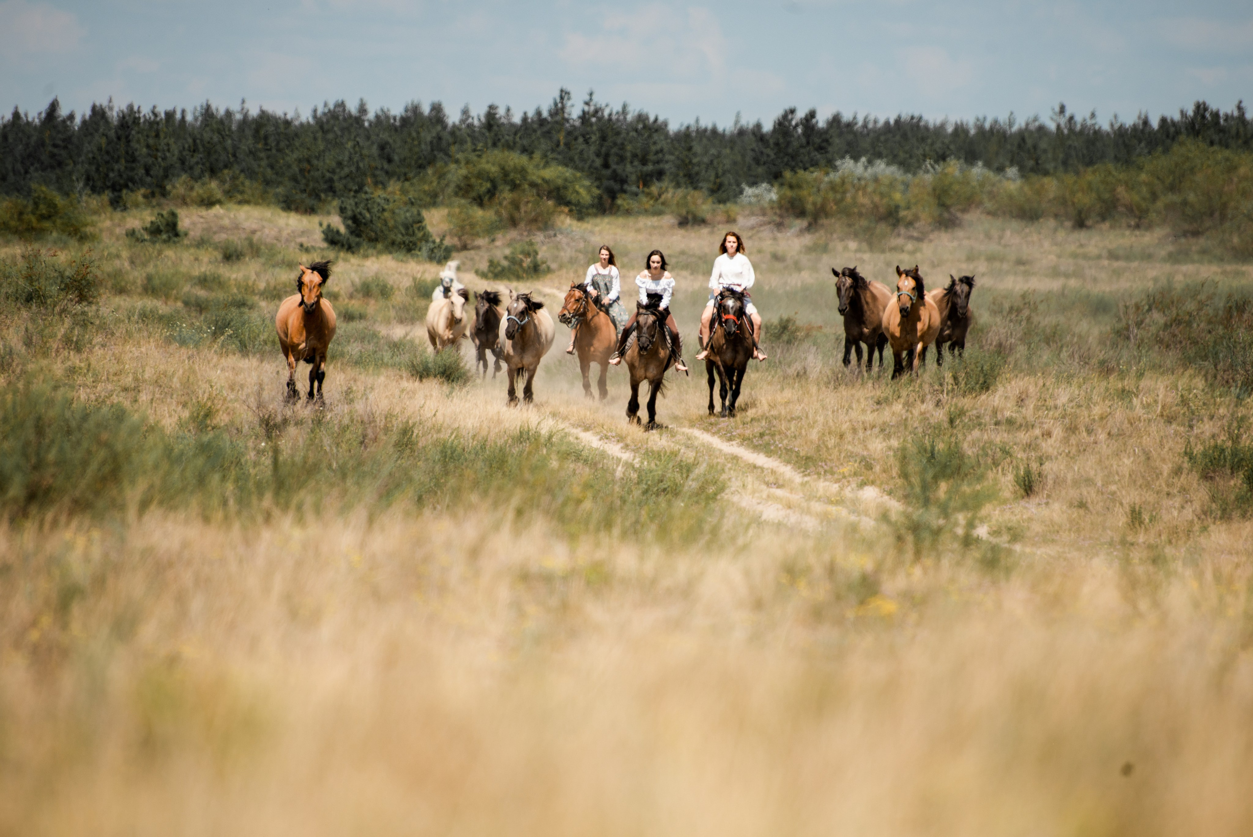 Купала в Родославном. Конный фотограф в Саратове Юлия Иванова