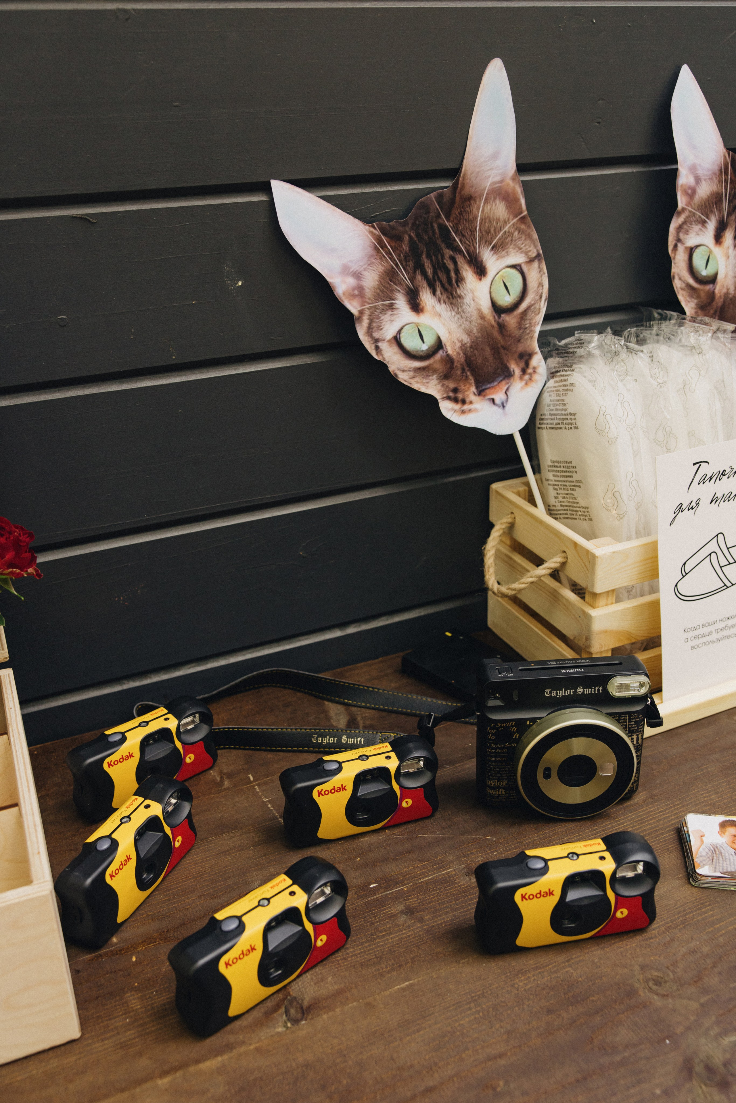 Денис и Елизавета. Фотограф в Красноярске