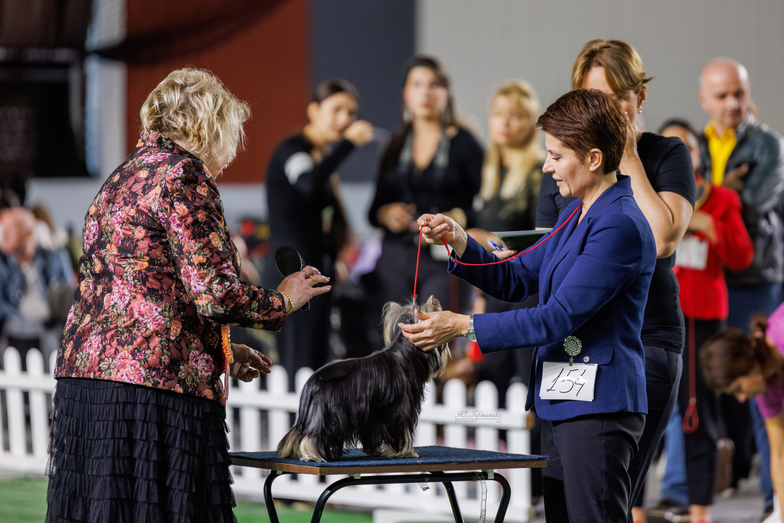 Телави 11-12.10.2025. Фотограф-анималист Юлия Германика