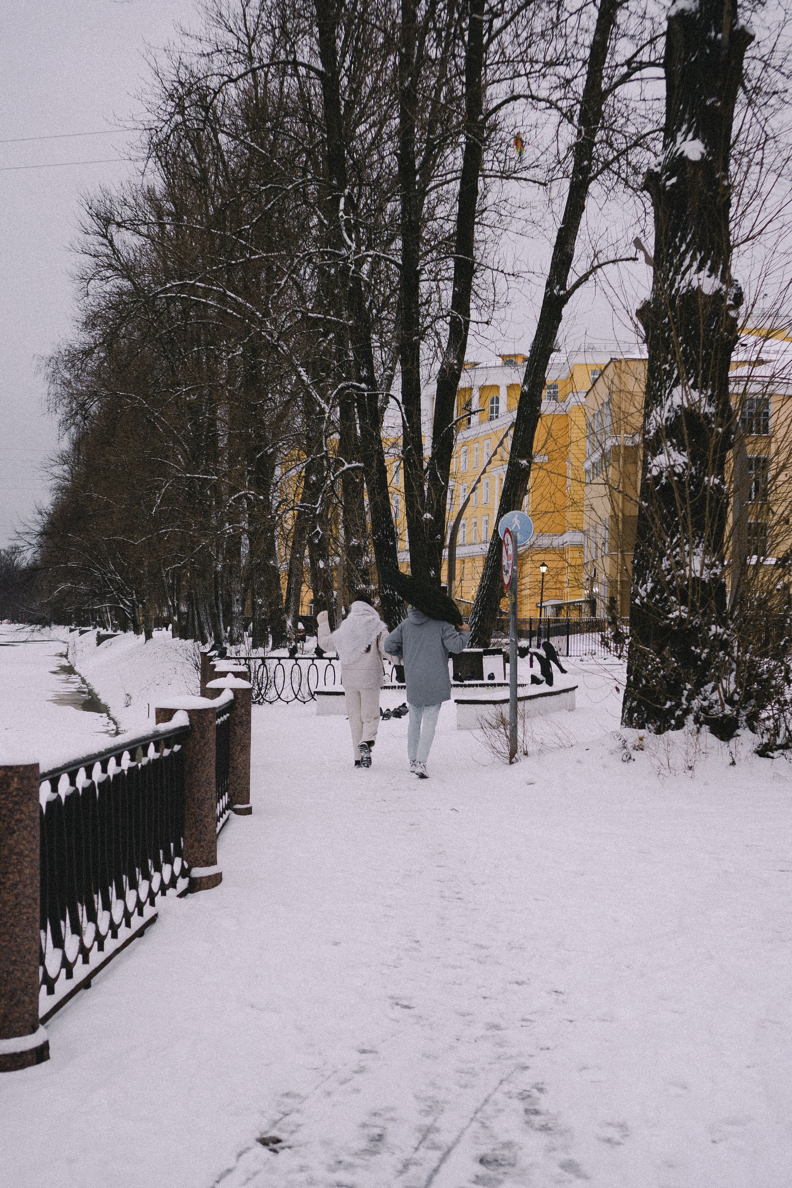 Зимняя история. Профессиональный фотограф, Санкт-Петербург — Виктория Богомолова