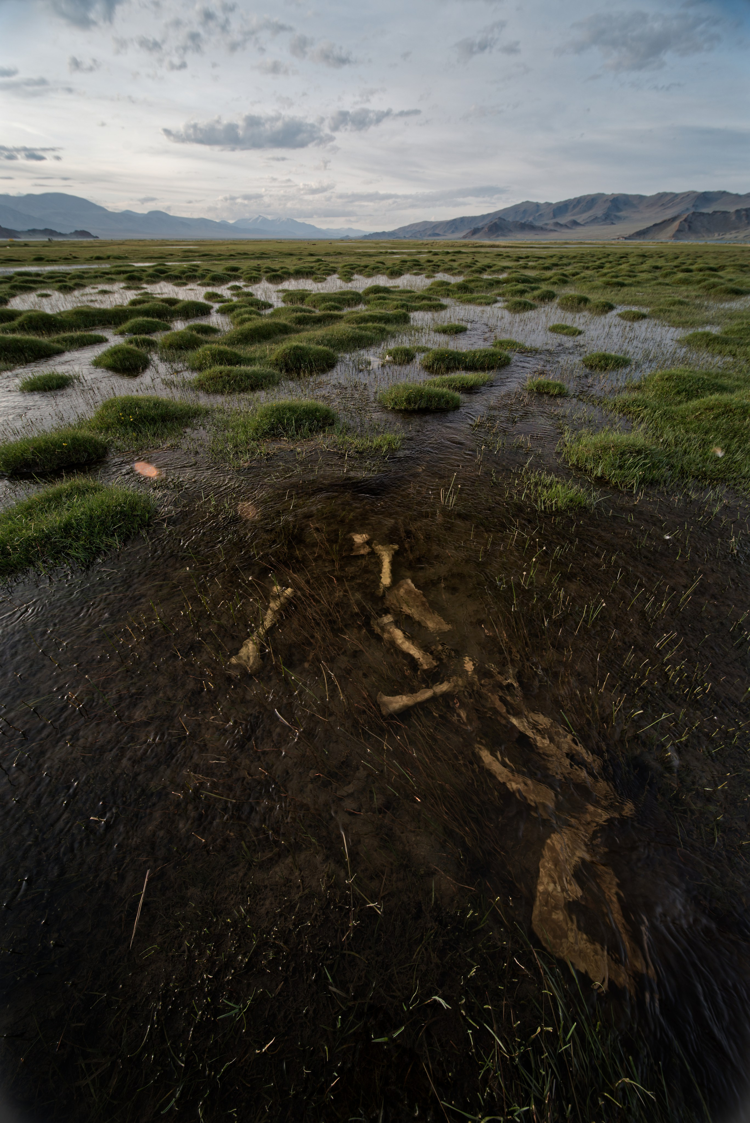 Экспедиция в Монголию (Гоби). Семоха Валерий. Фотограф