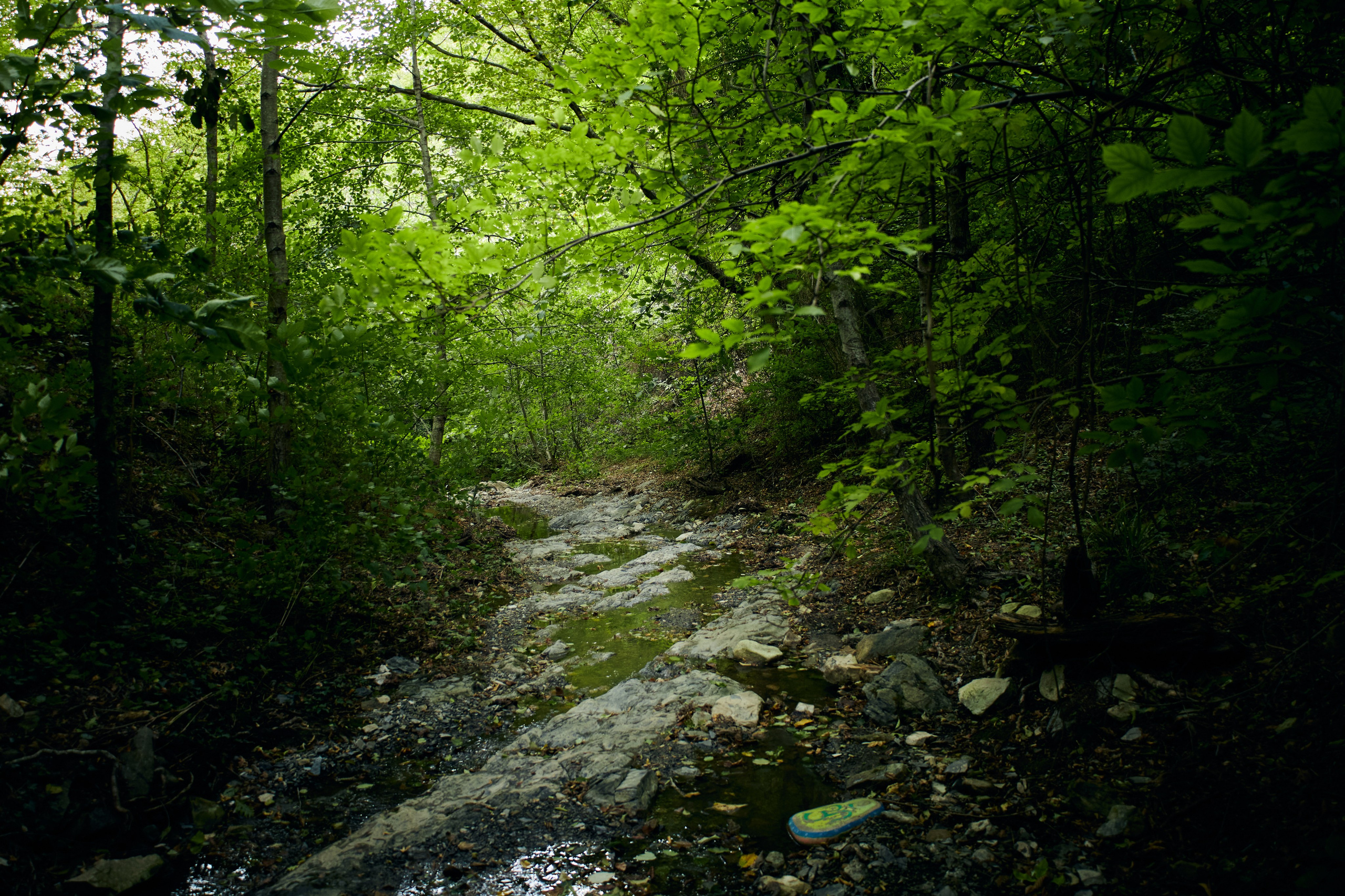 Пейзажи и уличная съёмка