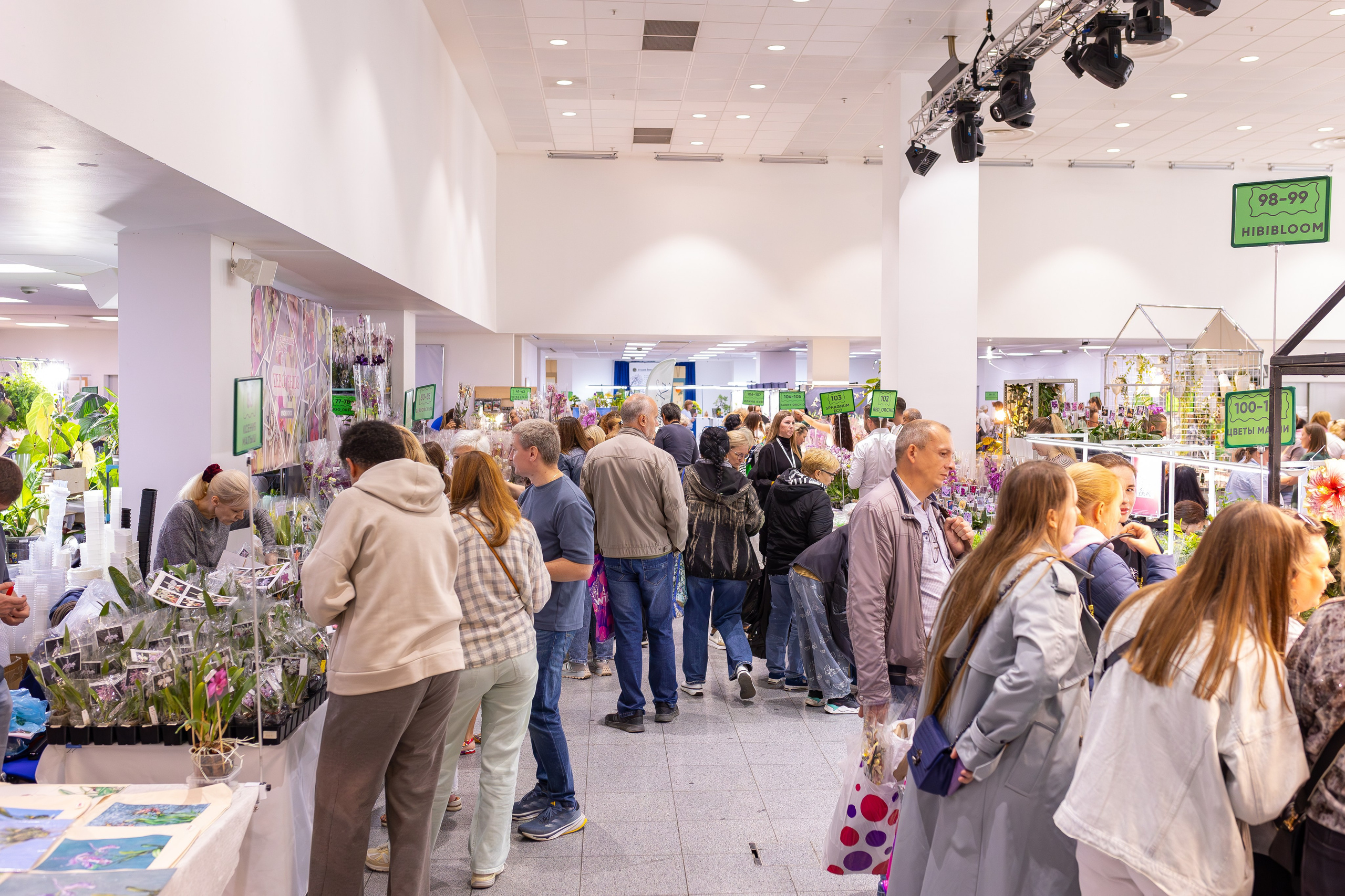 Орхидиум сентябрь 2025. Александра Куликова фотограф, Москва