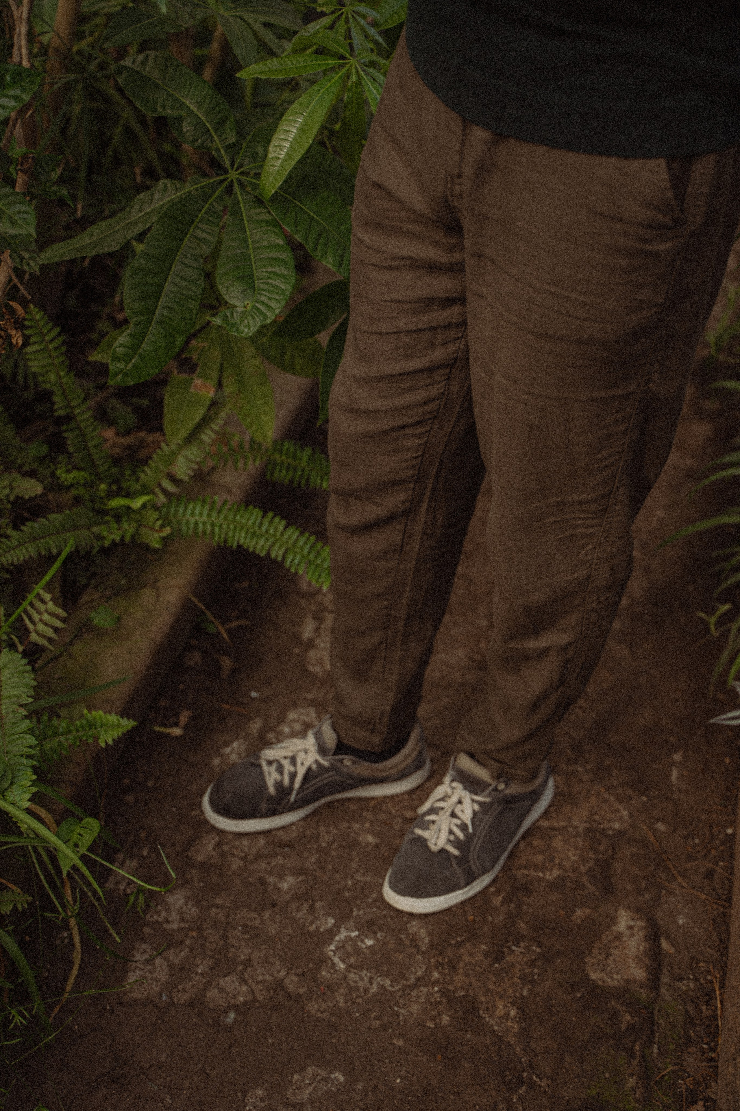 Ботанический сад. Фотограф Мария Зайчик