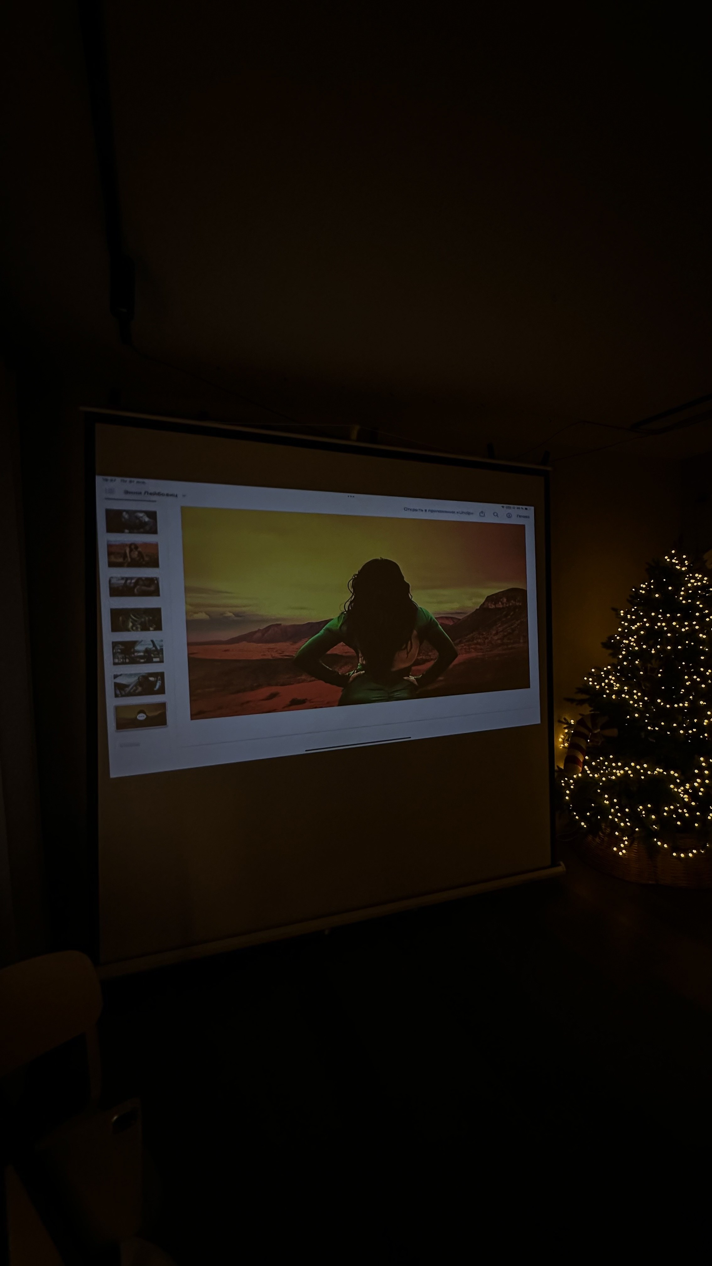 Энни Лейбовиц