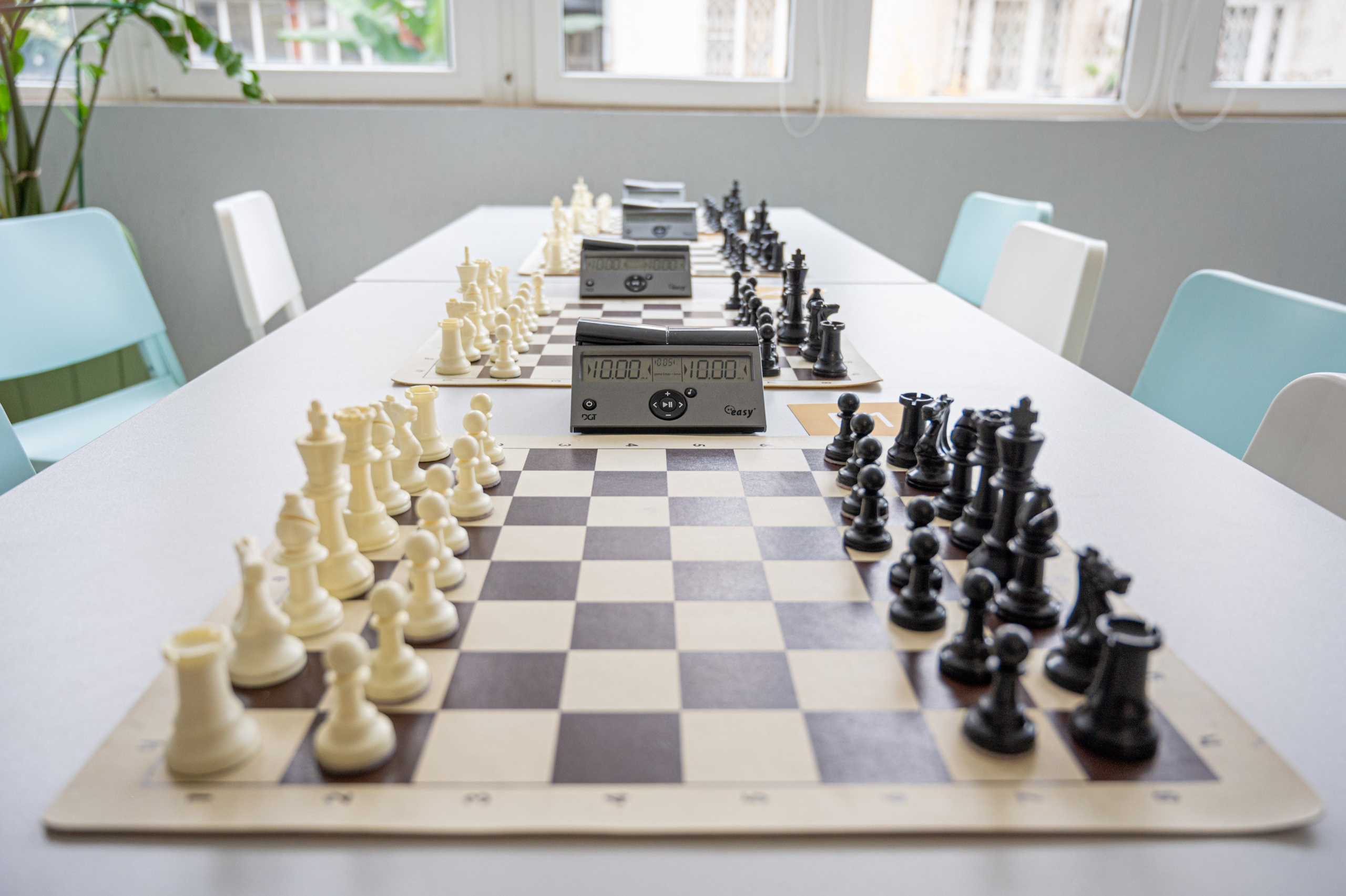 Турнир по быстрым шахматам «ОСЕННИЙ КУБОК"♟. Фотографирую счастливых людей в Сочи