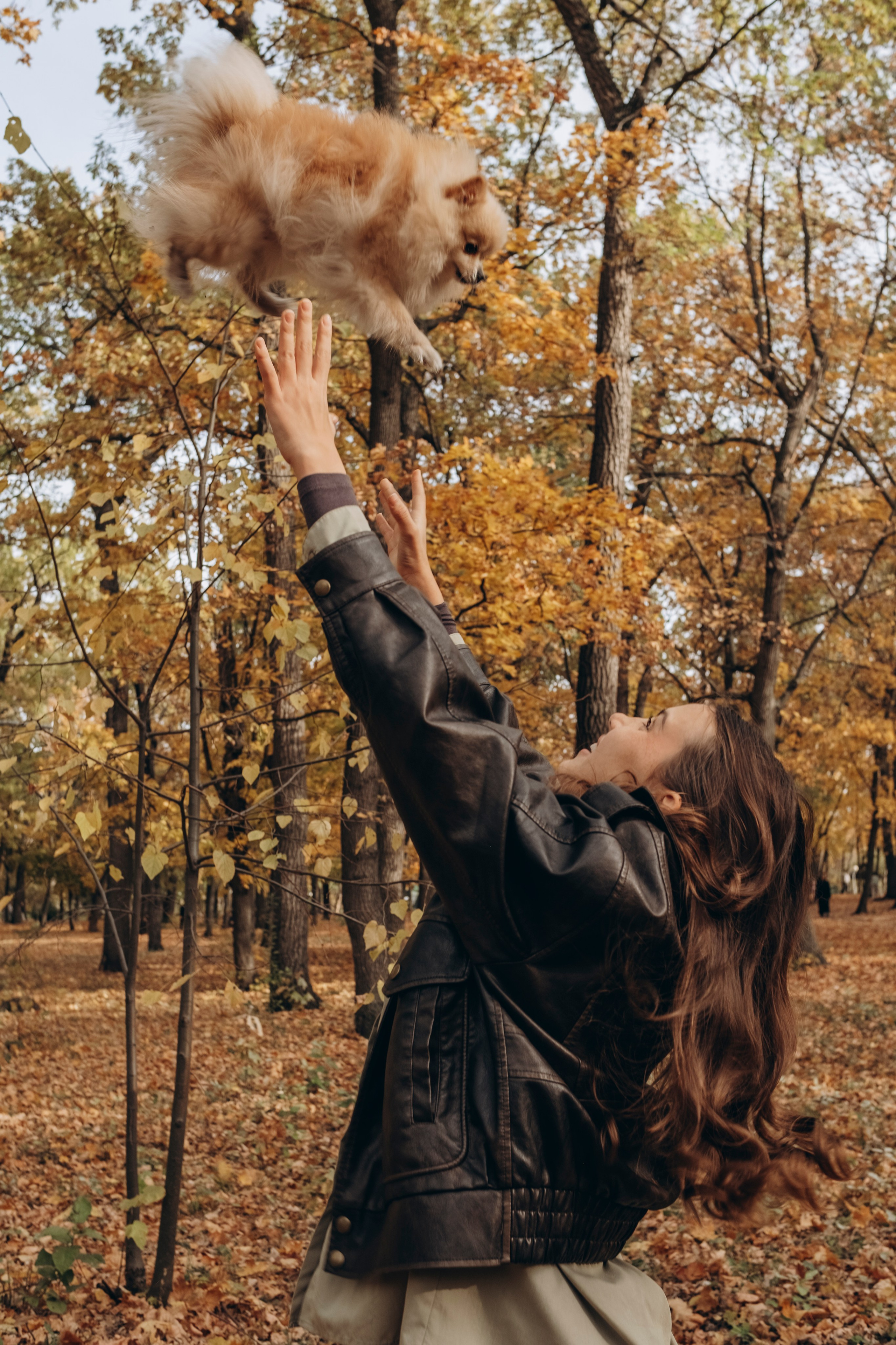 Загородный парк, осень. СЕМЕЙНЫЙ ФОТОГРАФ ЕЛЕНА МЕДВЕДЕВА САМАРА