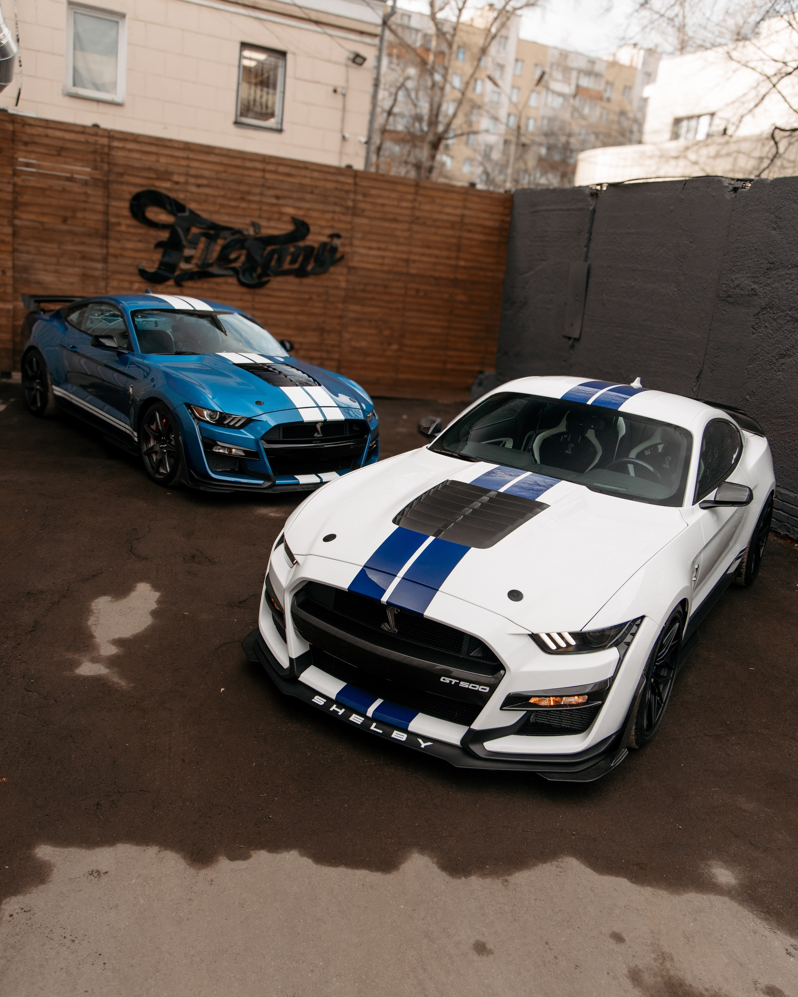 Mustang Shelby GT500 X2. DeLorein