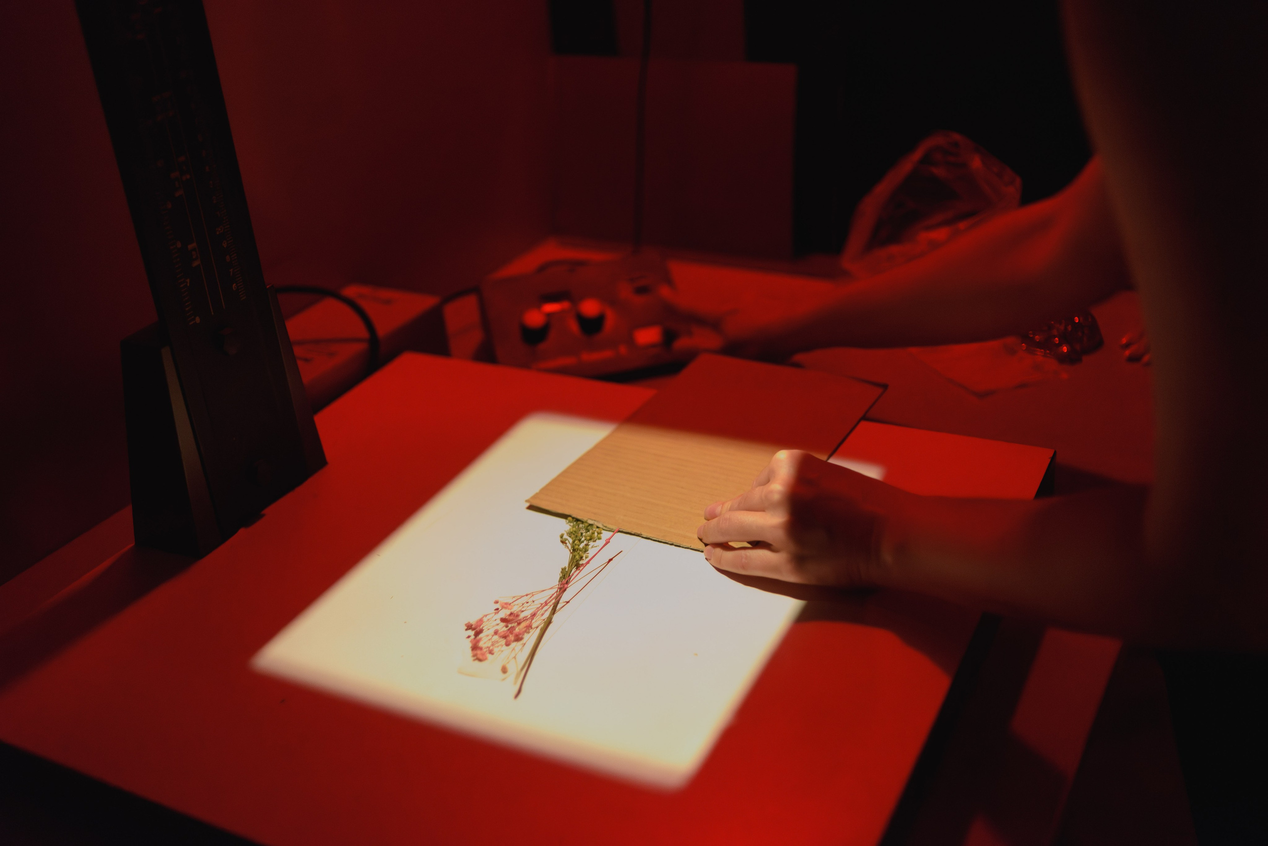 Репортаж. Фотограф Руслан Хафизов