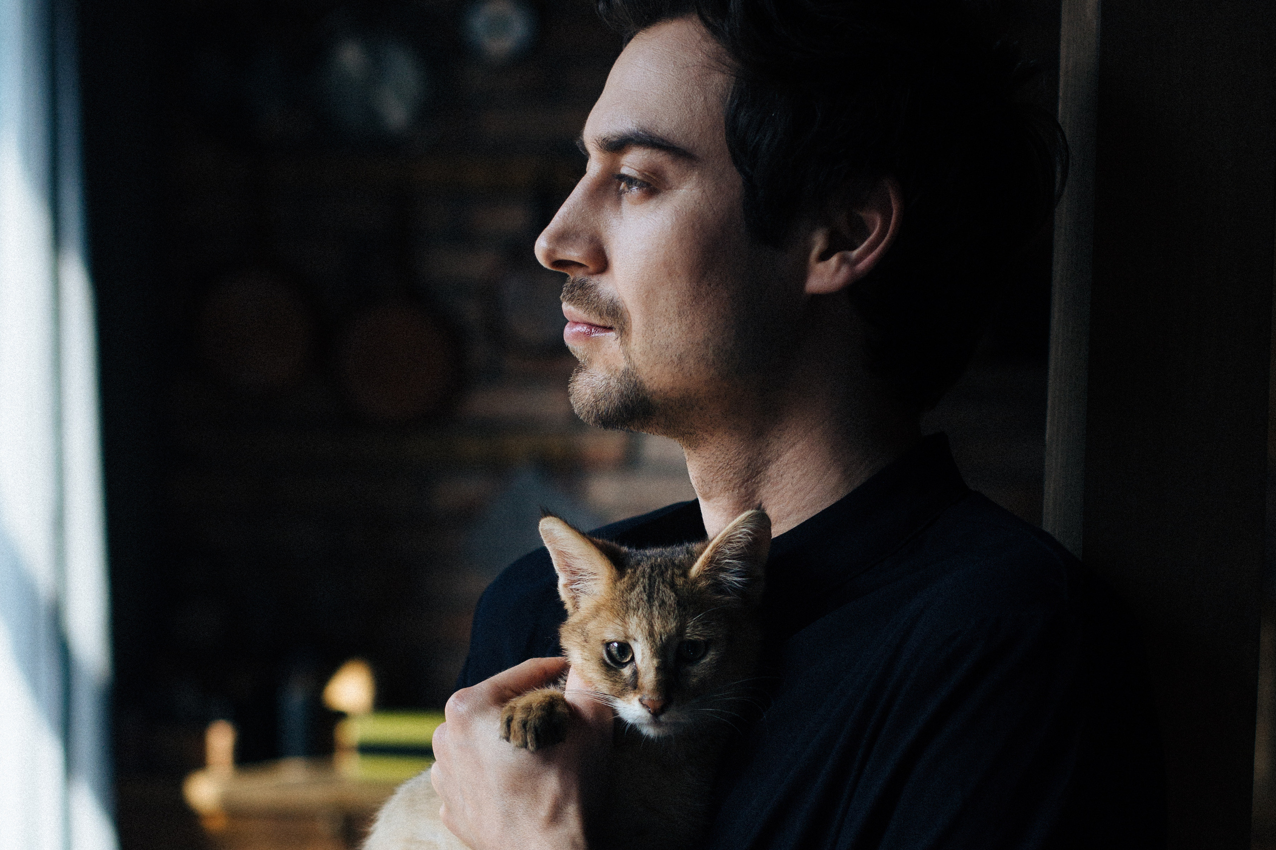 Фотосессия для ведущего с котятами. Александр Чернин. Семейный и событийный фотограф