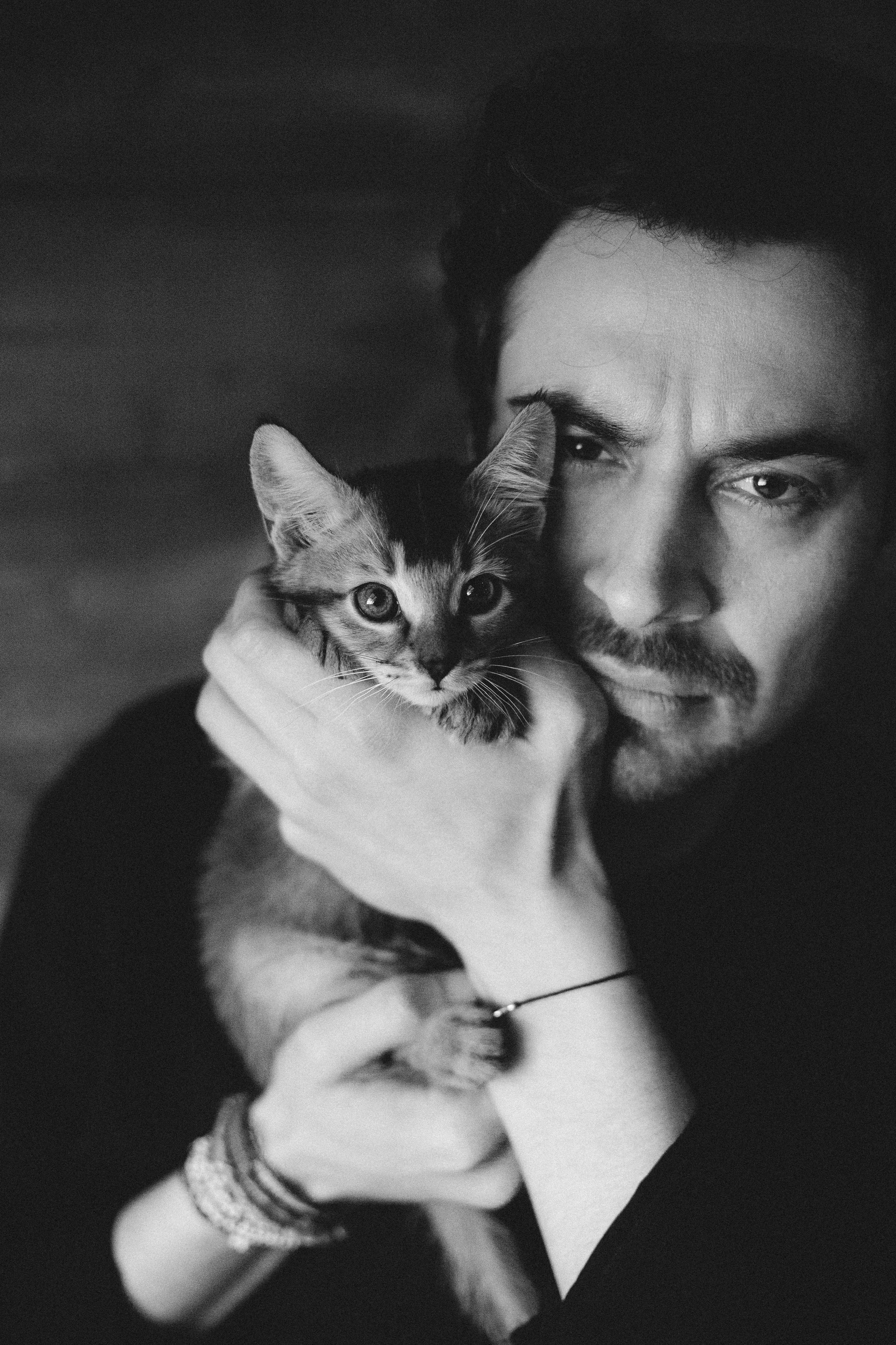 Фотосессия для ведущего с котятами. Александр Чернин. Семейный и событийный фотограф