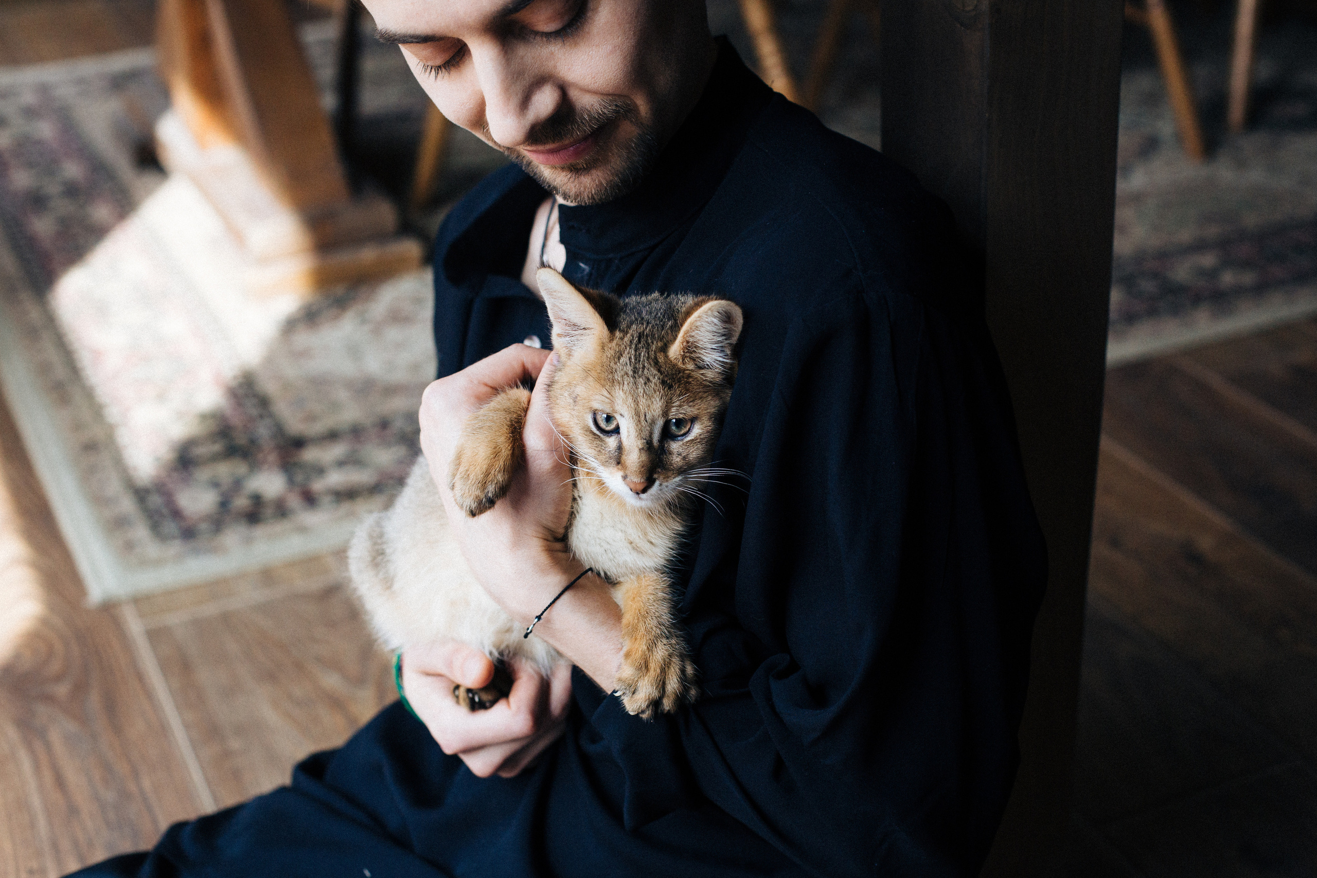 Фотосессия для ведущего с котятами. Александр Чернин. Семейный и событийный фотограф