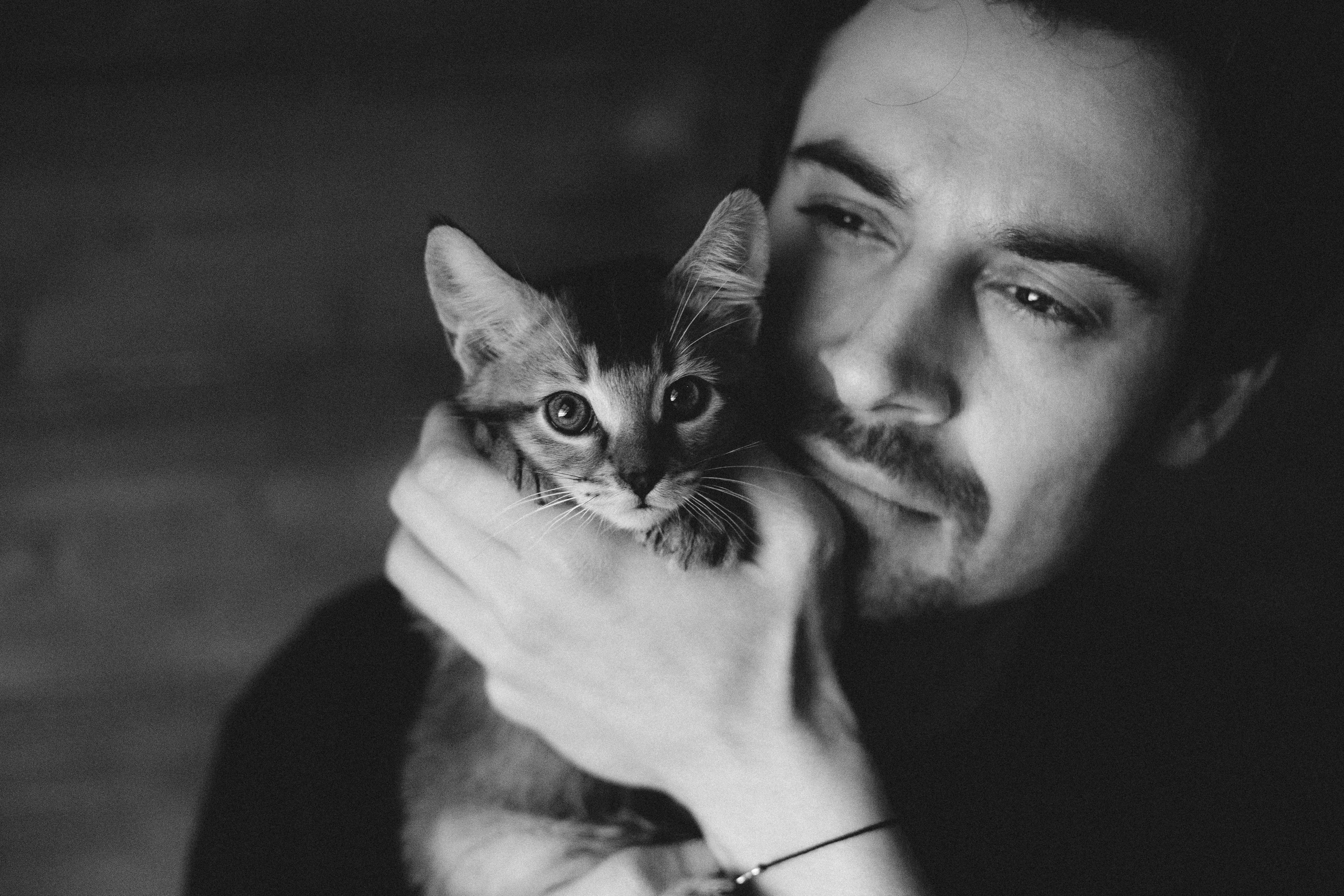 Фотосессия для ведущего с котятами. Александр Чернин. Семейный и событийный фотограф