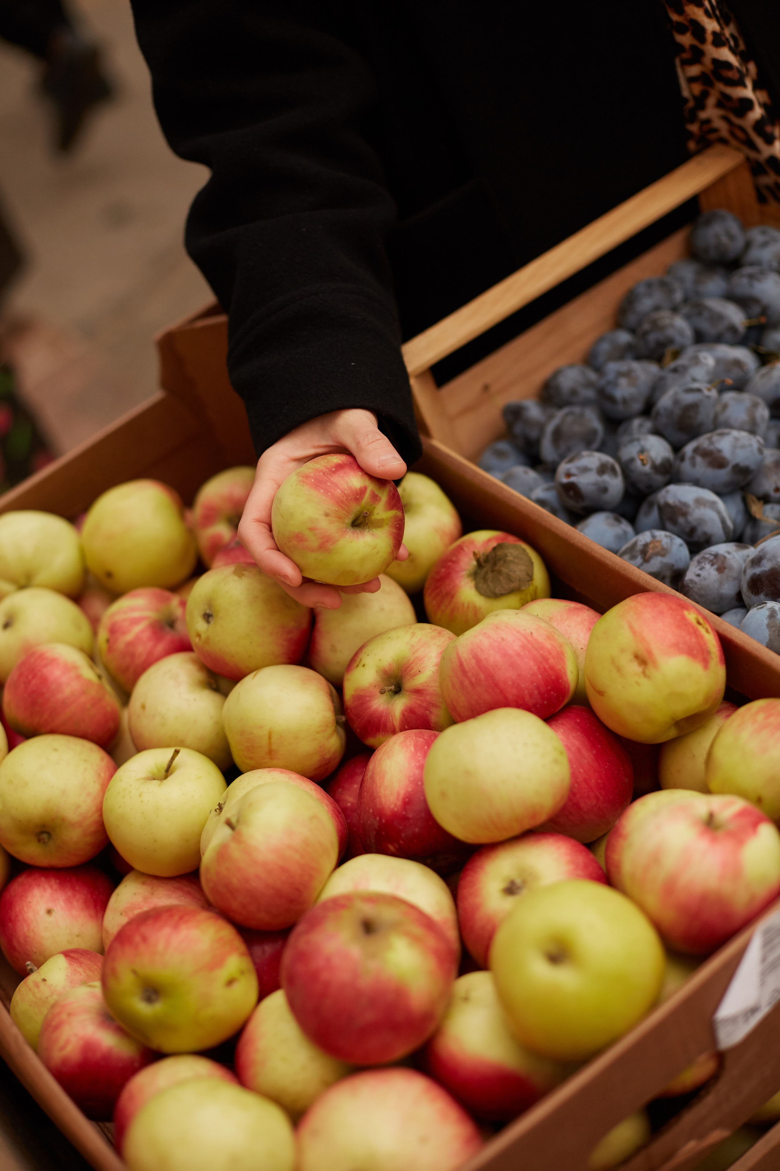 Наташа. Анастасия Зобнинá — фотограф в Санкт-Петербурге/СПб