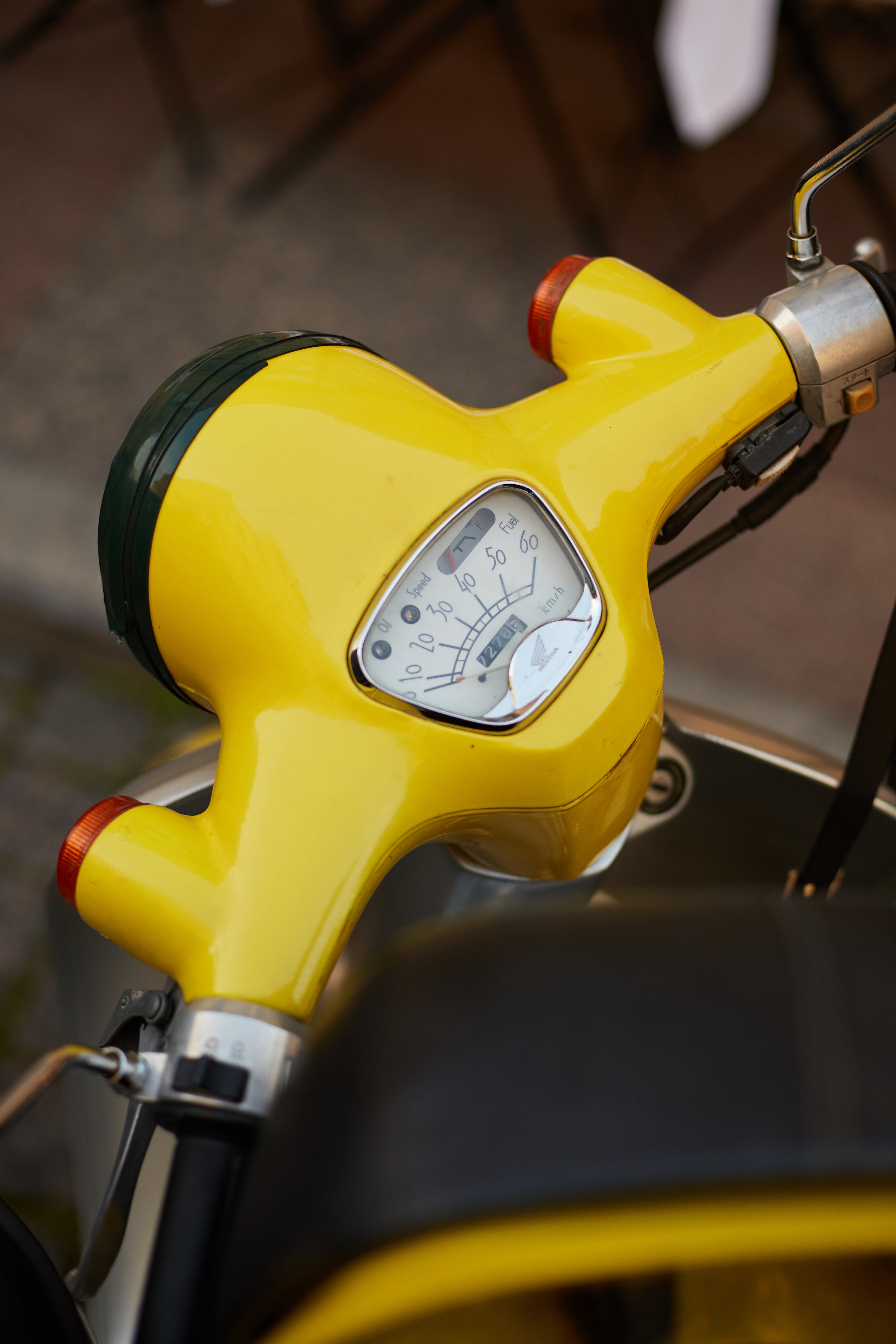 Дарья — сомелье. Анастасия Зобнинá — фотограф в Санкт-Петербурге/СПб