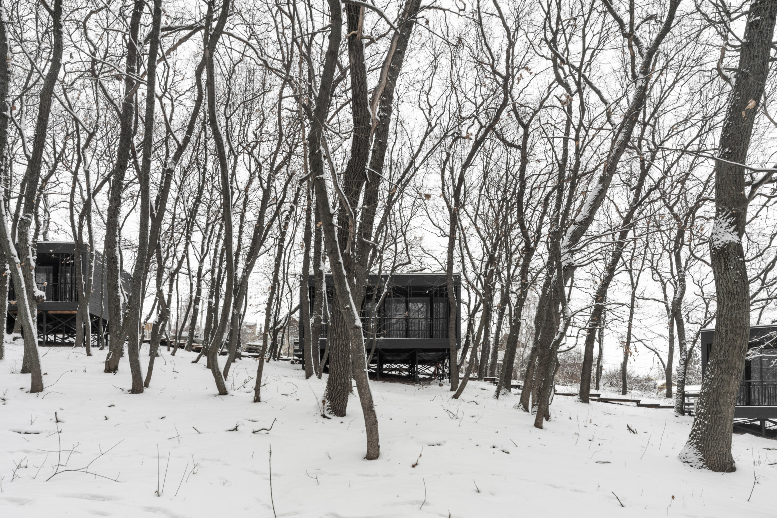 ХОЛМ. SAAS Селиванов Алексей Архитектурная Студия