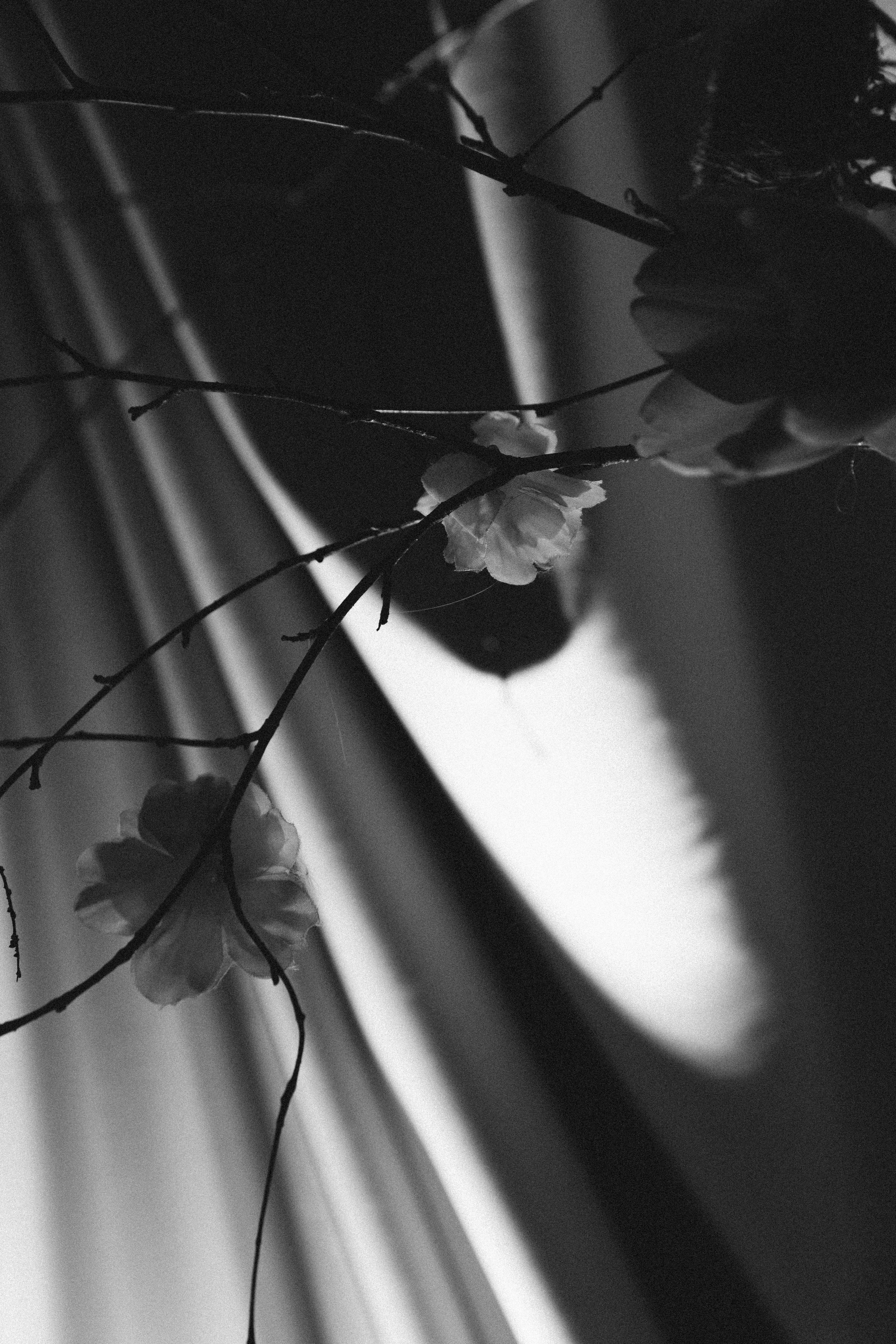 Рига-Москва малый зал. Фотограф Семён Гнеушев