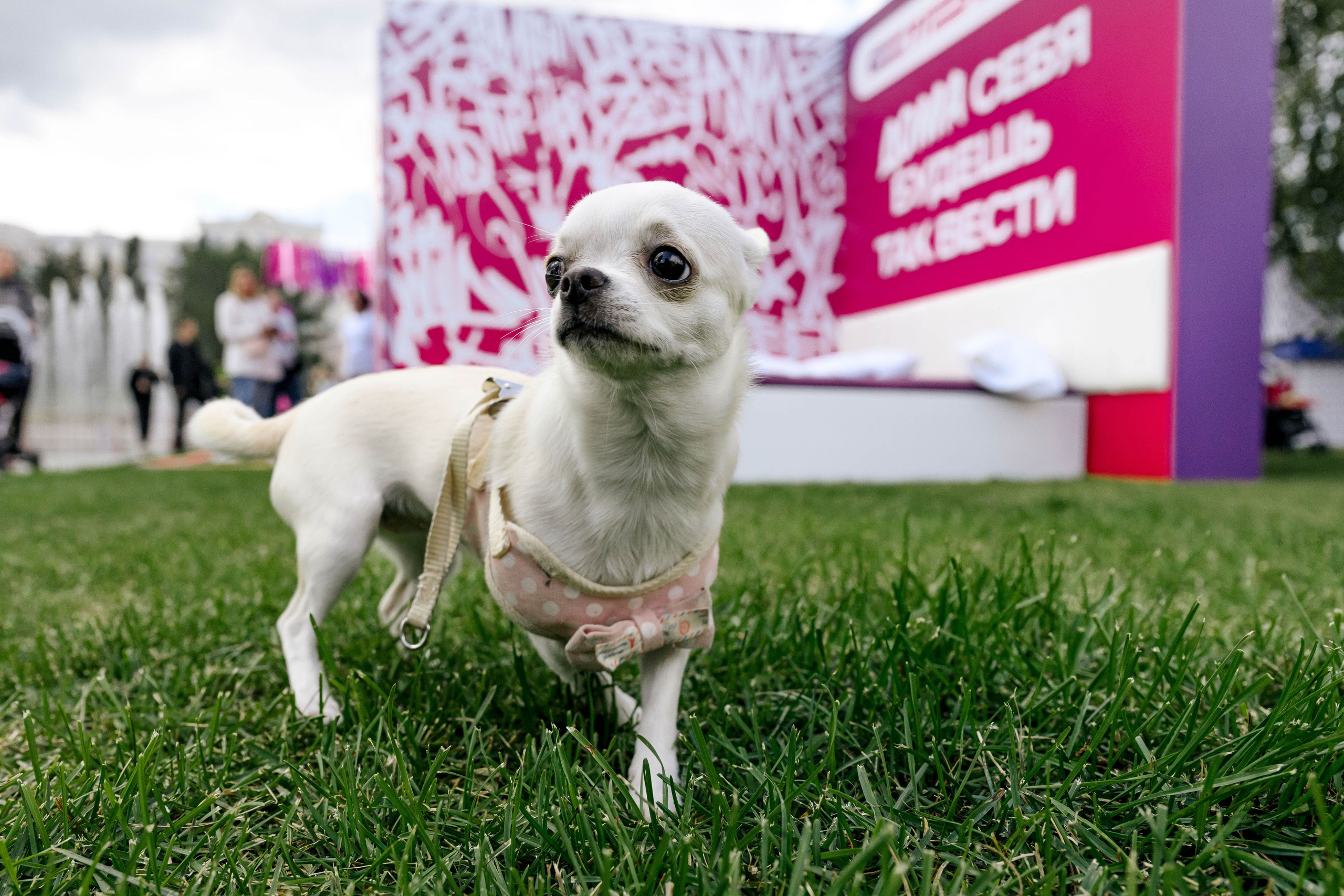 СТРАНА. Максим Комаров — Профессиональный фотограф