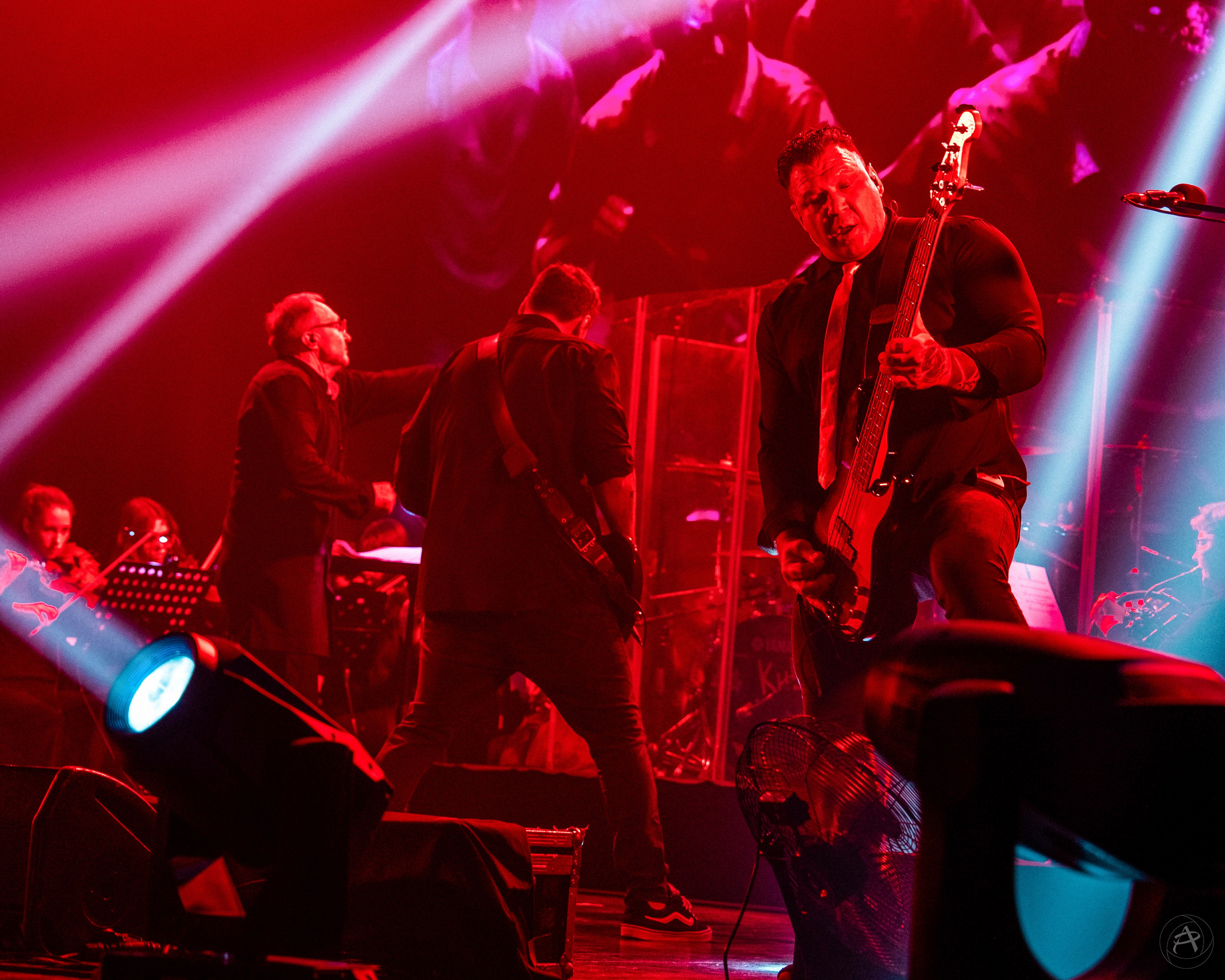 Северный Флот. ДК ПЗ (Вологда). Концертный фотограф Аля Рашпиль