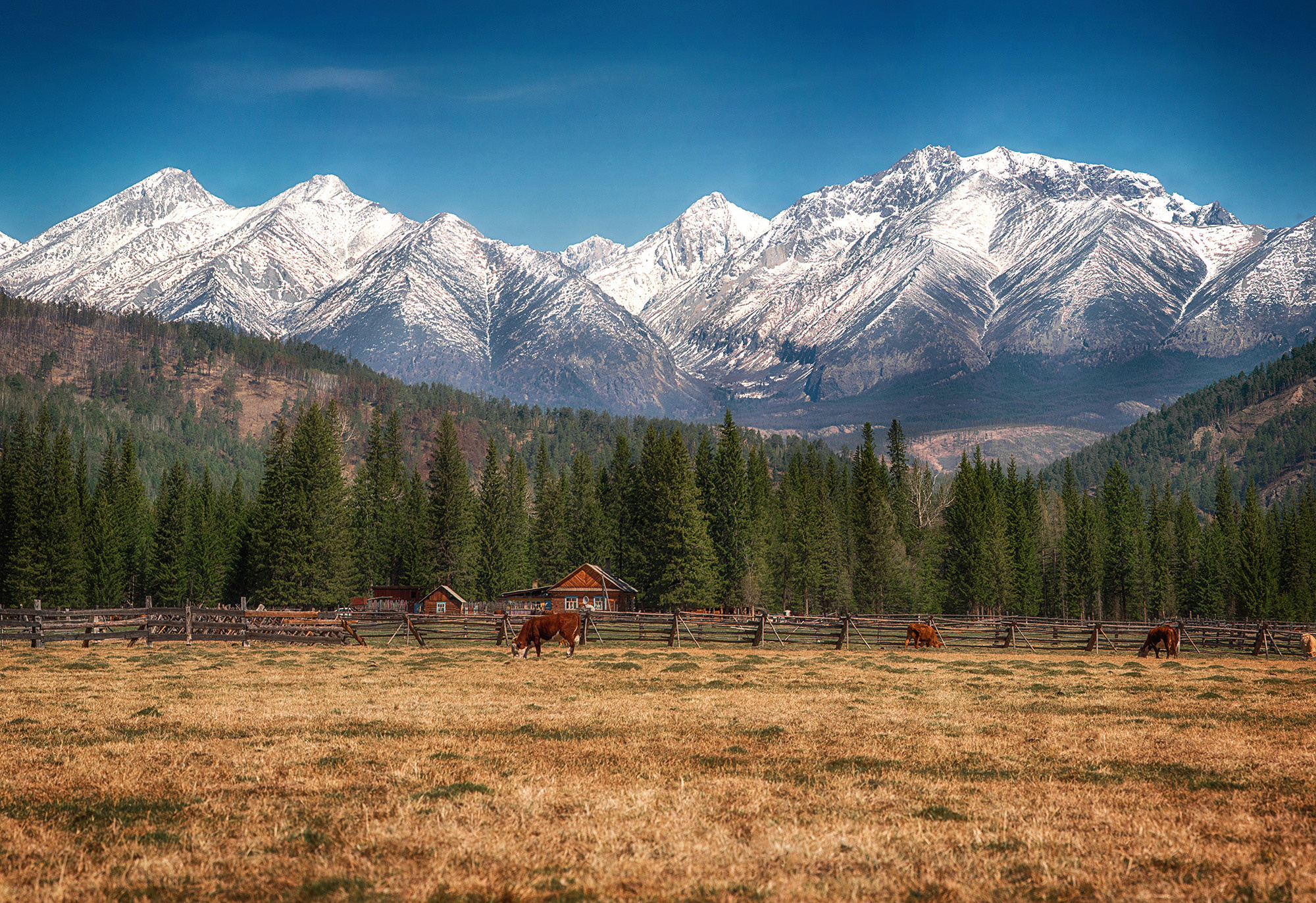 Пейзаж горы Саяны, Тункинская долина , Иркутск