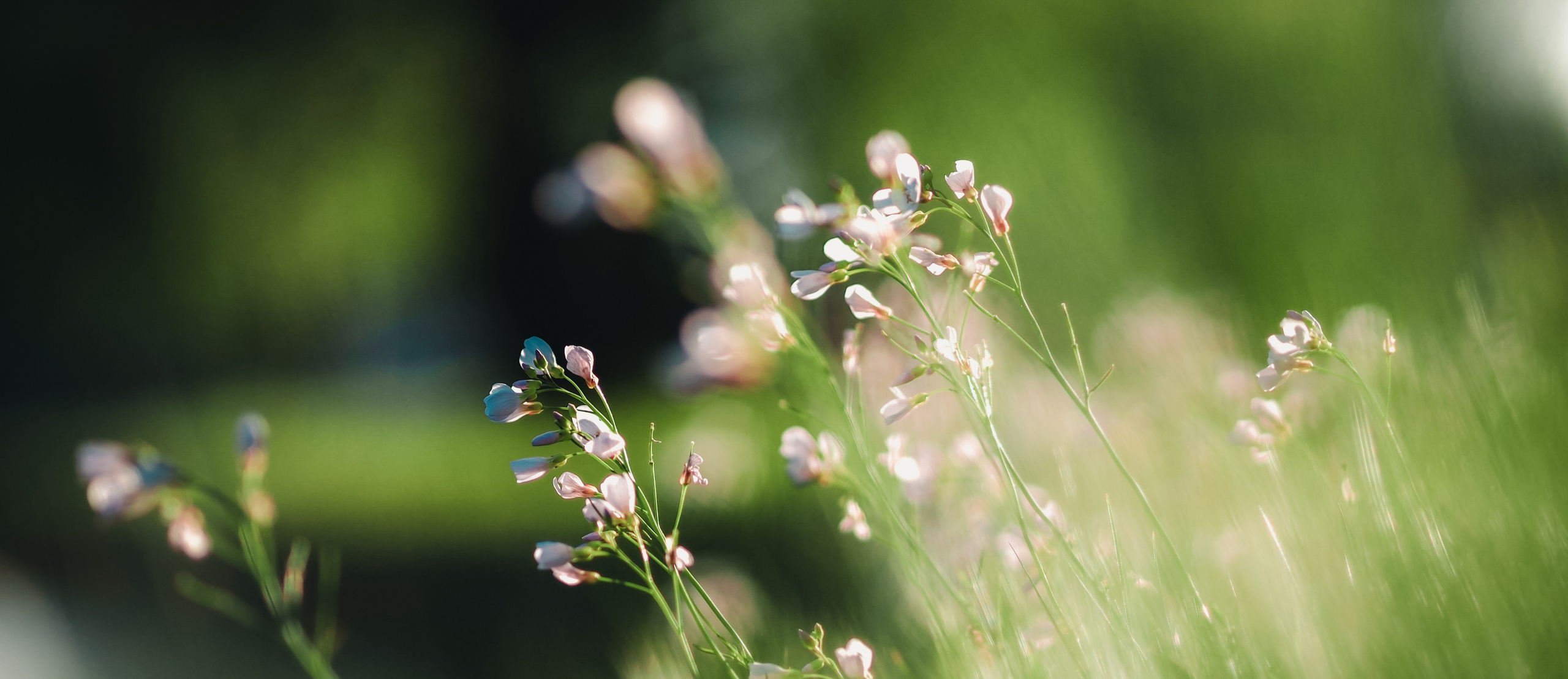 Надо знать!. Свадебный фотограф Копков Геннадий