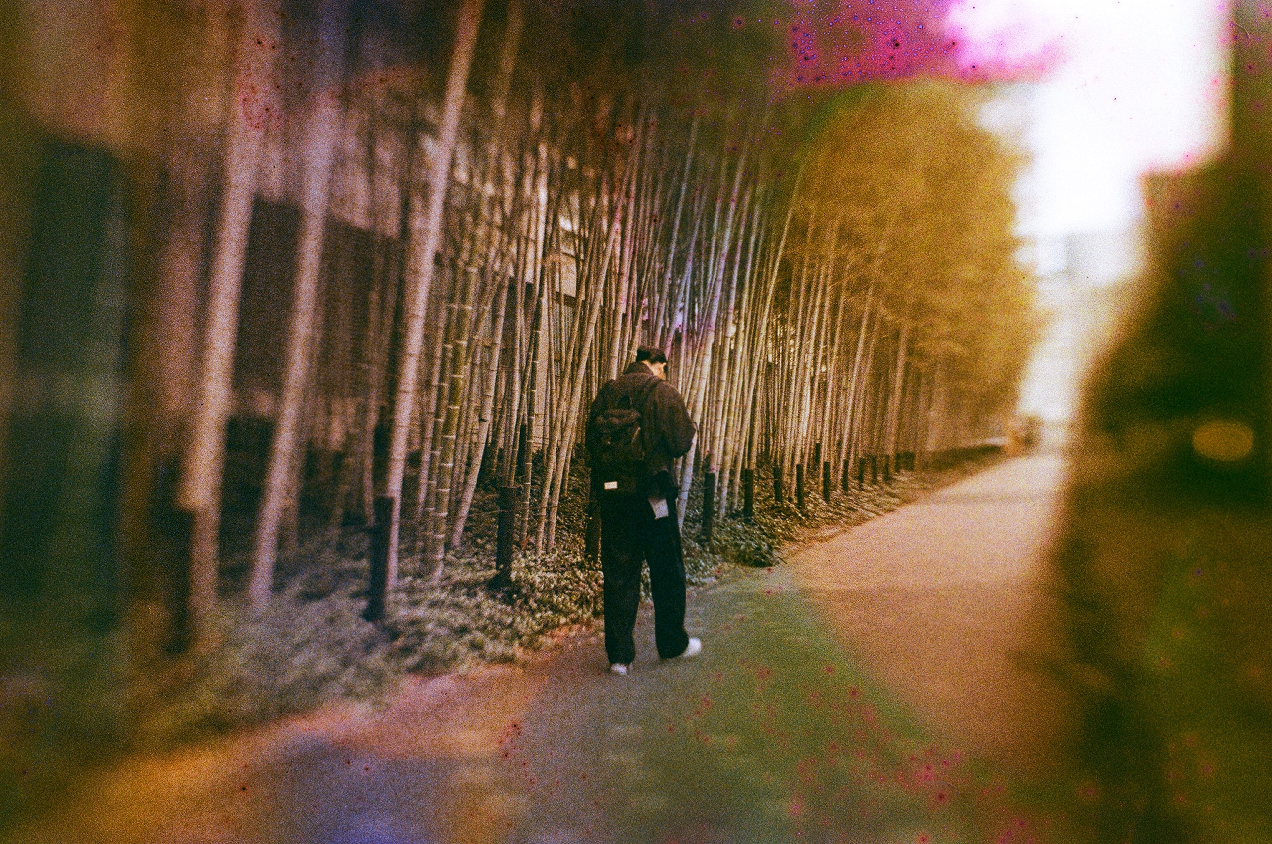 JAPAN FILM. International visual artist