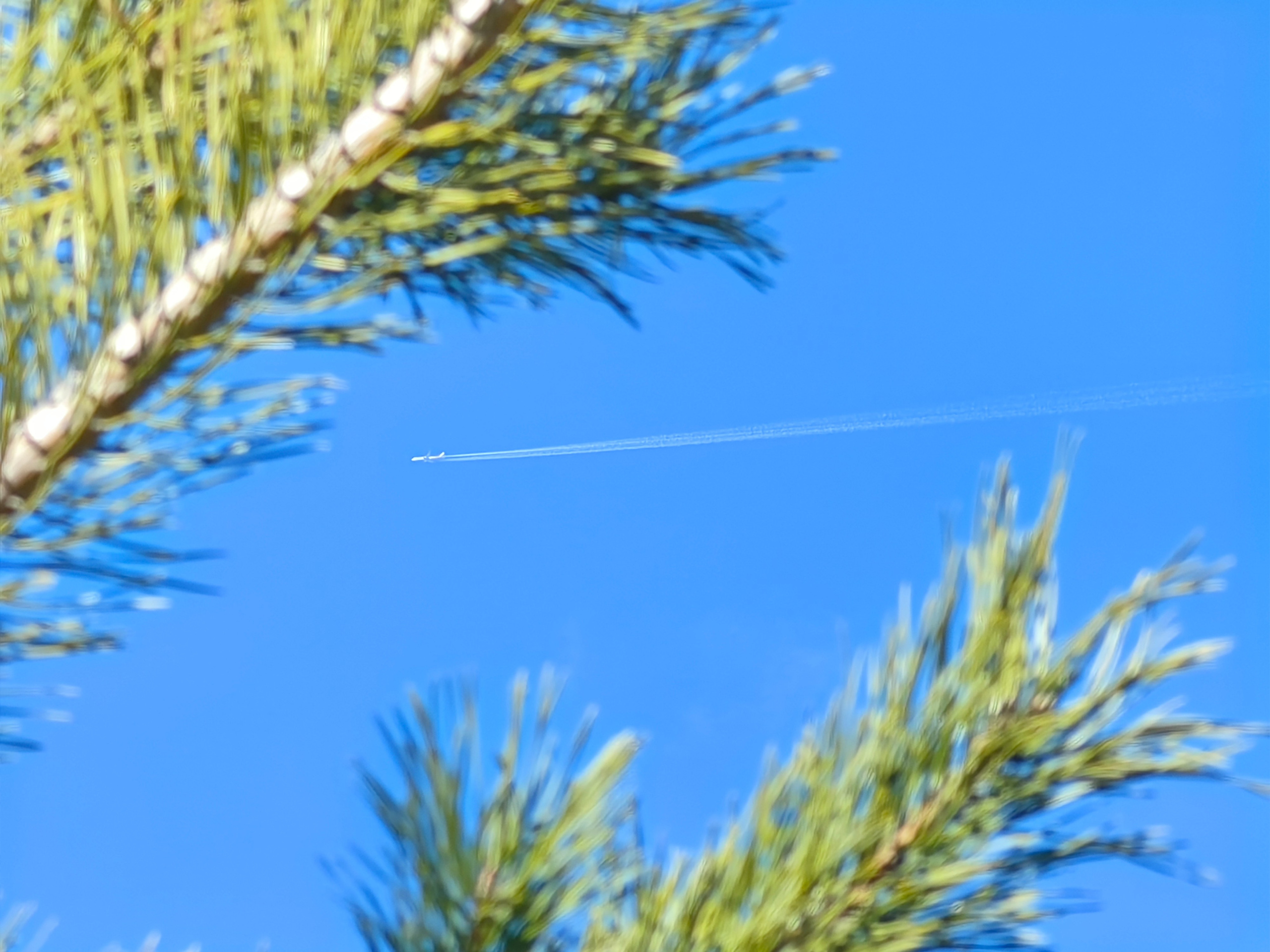 Галерея Huawei p60. Константин Устинов — фотограф