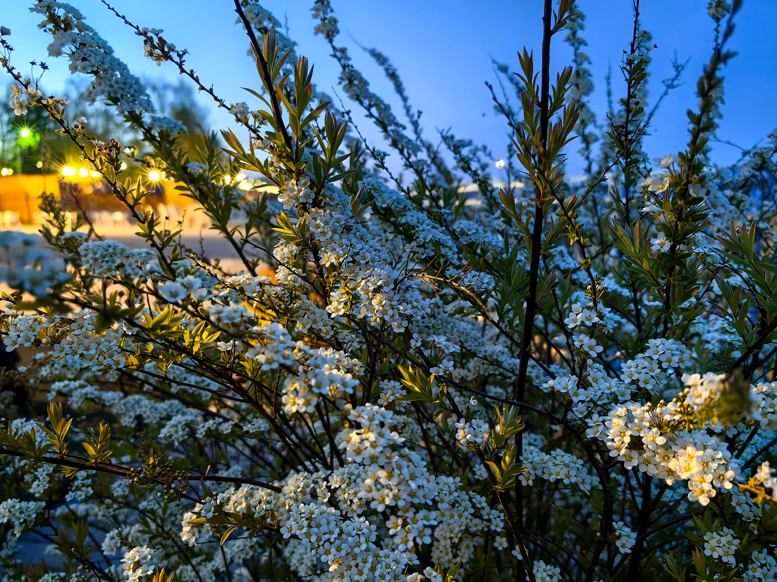 Галерея Huawei p60. Константин Устинов — фотограф