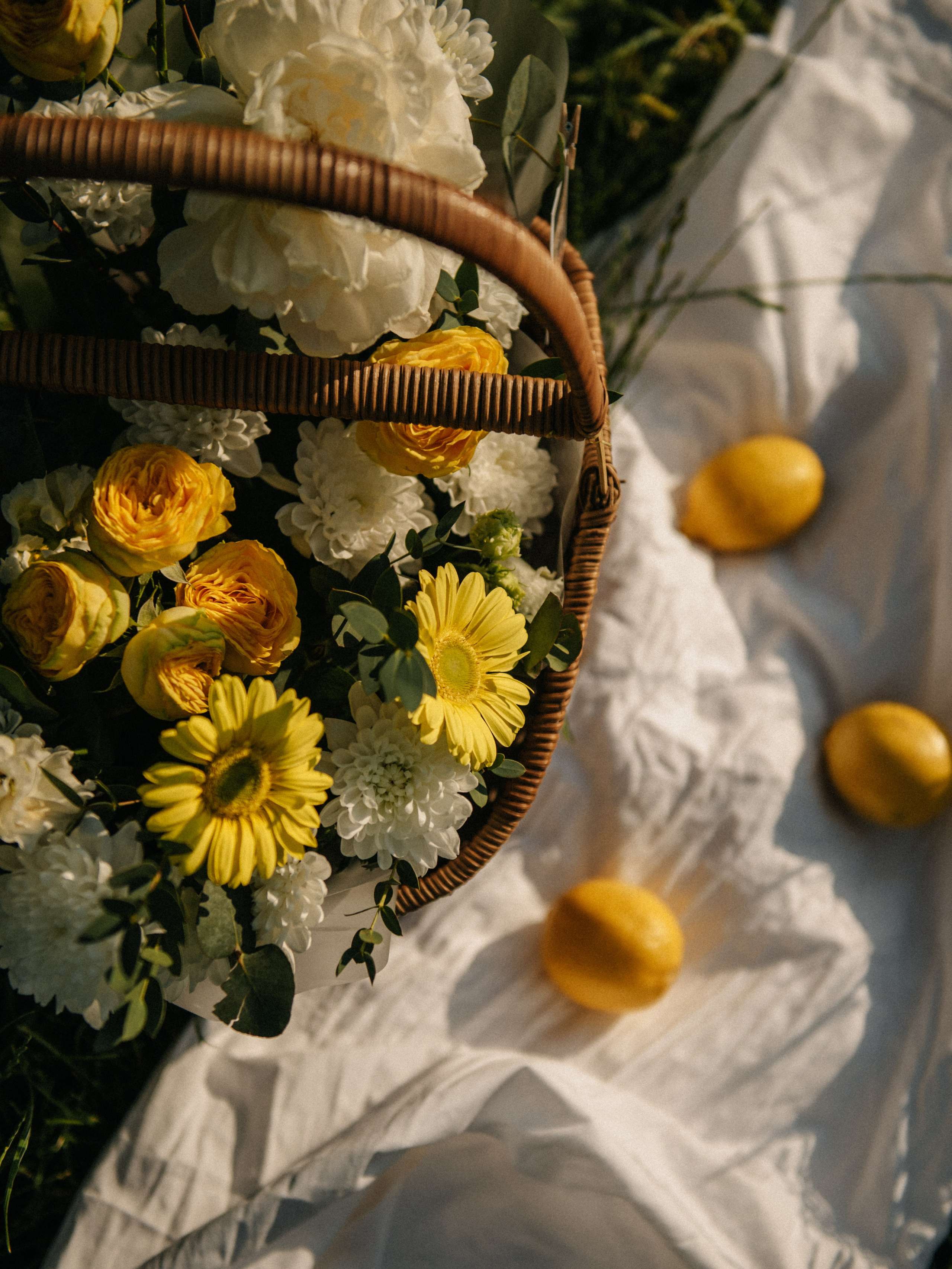 Соня. Ph.proulints