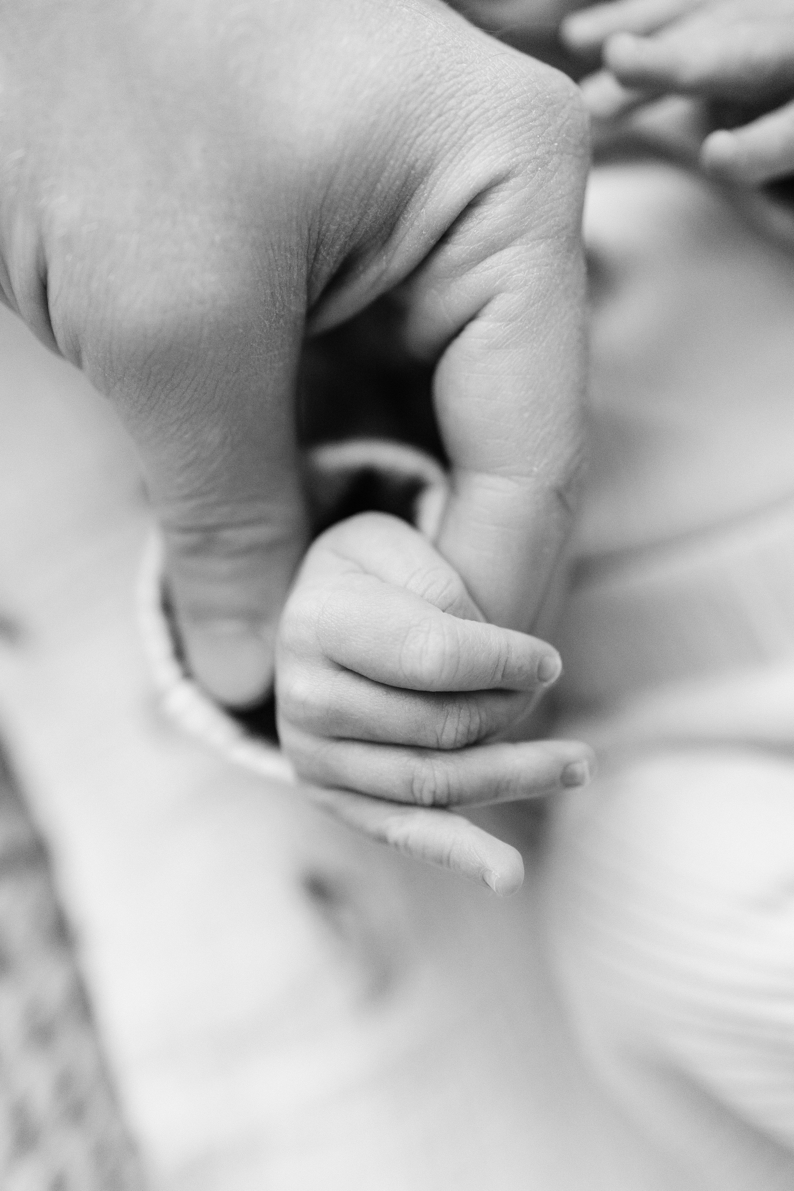 Фотосессия у вас дома. Главная