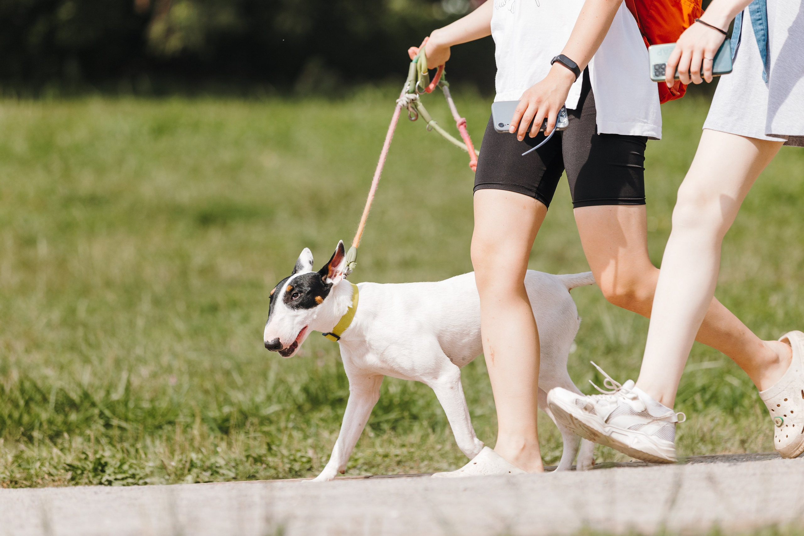 Petshop Sup day. Фотограф анималист Кристина Карпова, Москва