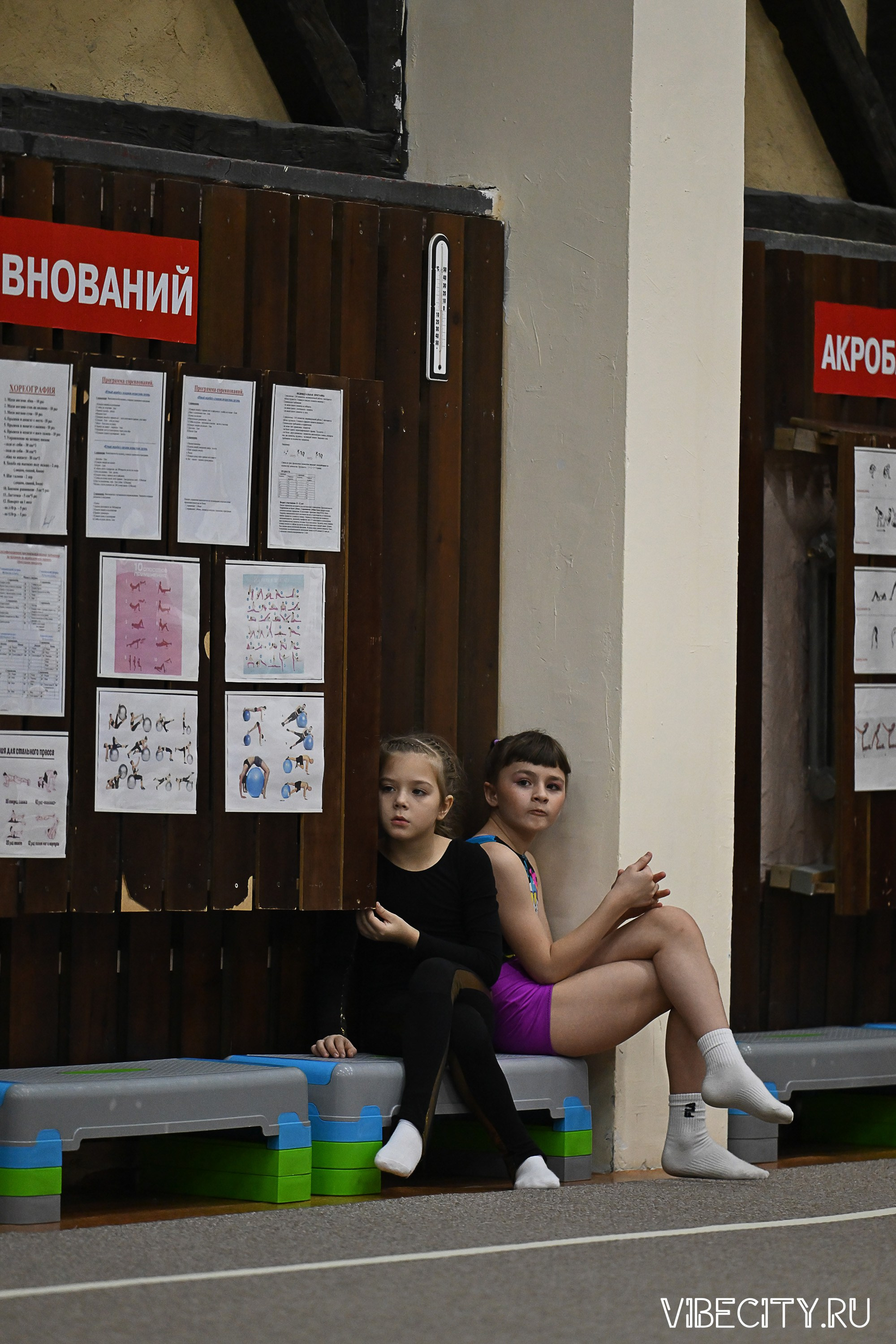 Контрольная тренировка по спортивной гимнастике. VIBECITY.RU Вайб Сити Ру Фоторепортажи Фотоотчеты Калининград