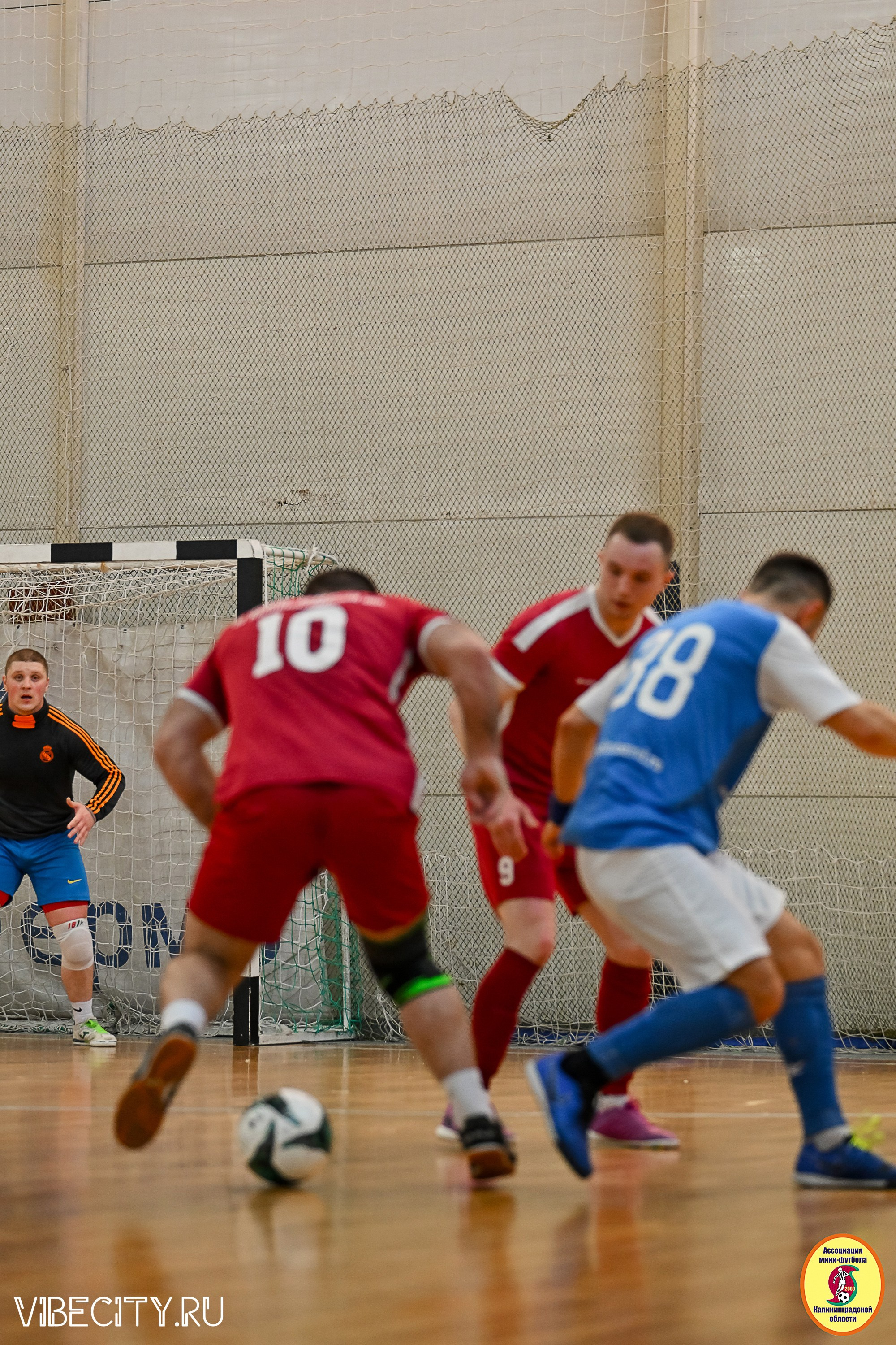 МФЛ СанТермо. VIBECITY.RU Вайб Сити Ру Фоторепортажи Фотоотчеты Калининград