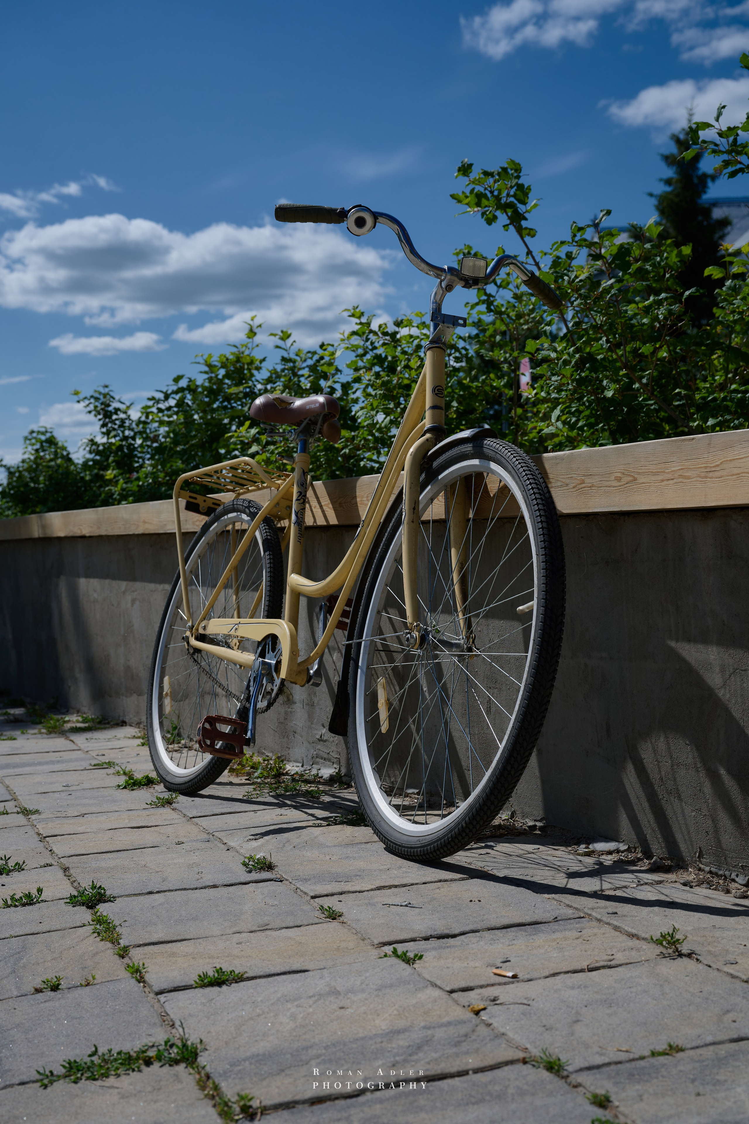 Суздаль. Июнь 2025. Фотограф Роман Адлер