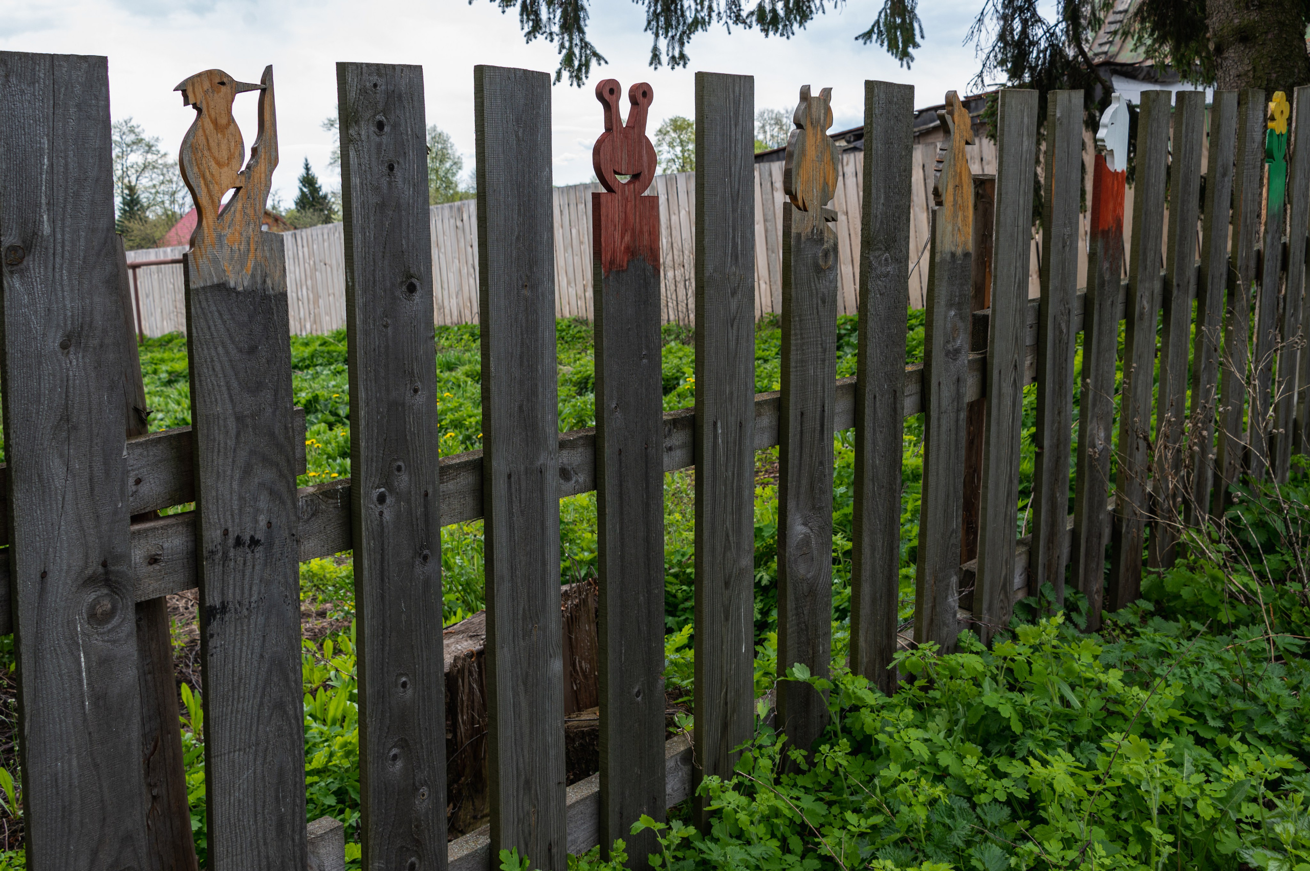 Суздаль. Май 2023. Фотограф Роман Адлер