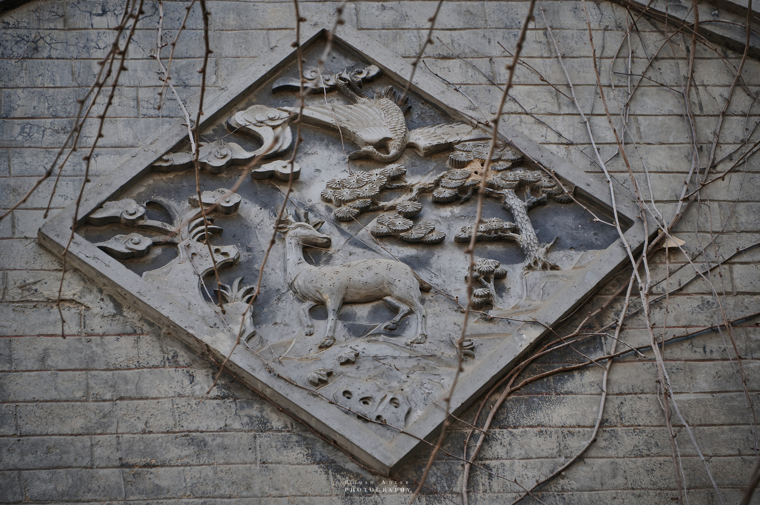 Старый город Цинчжоу. Фотограф Роман Адлер