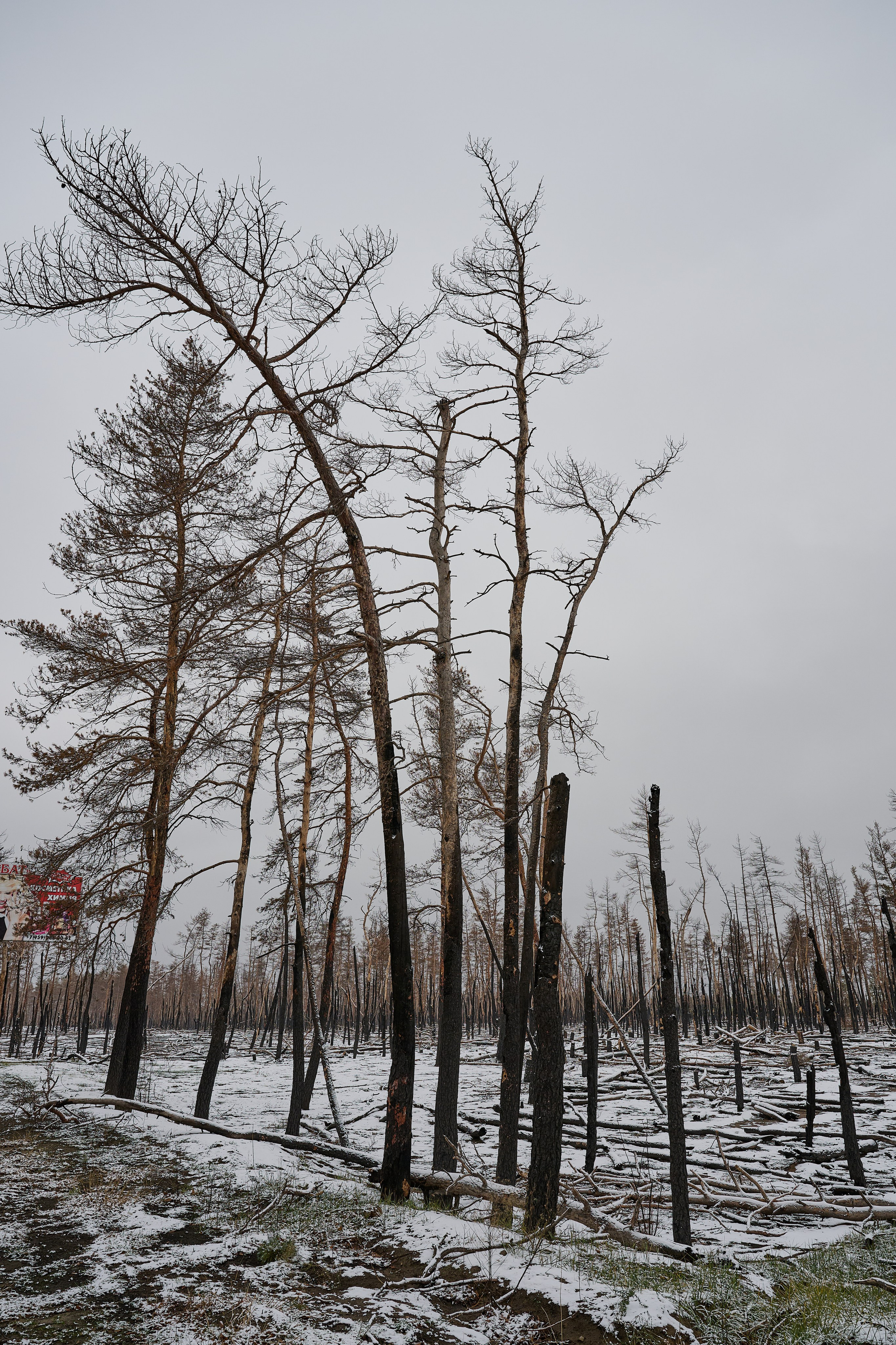 Северодонецк (Луганская область). Декабрь 2024. Фотограф Роман Адлер