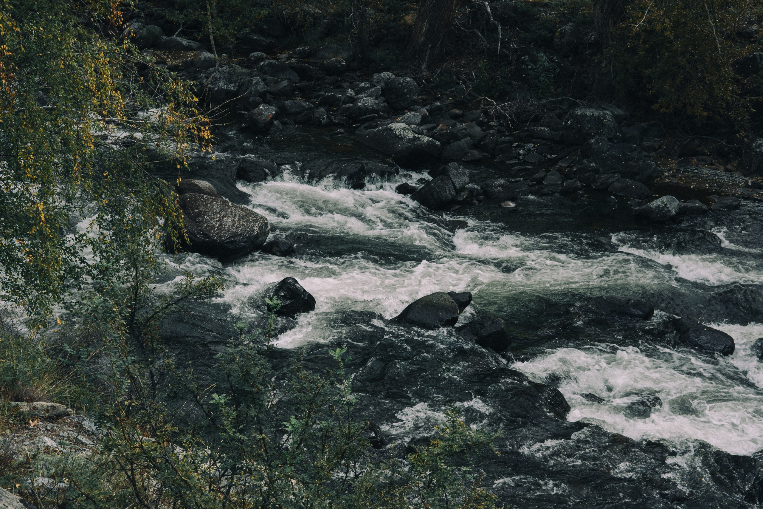 Алтай (мобилография). Фотограф в Москве, в Самаре Инна Мамонова
